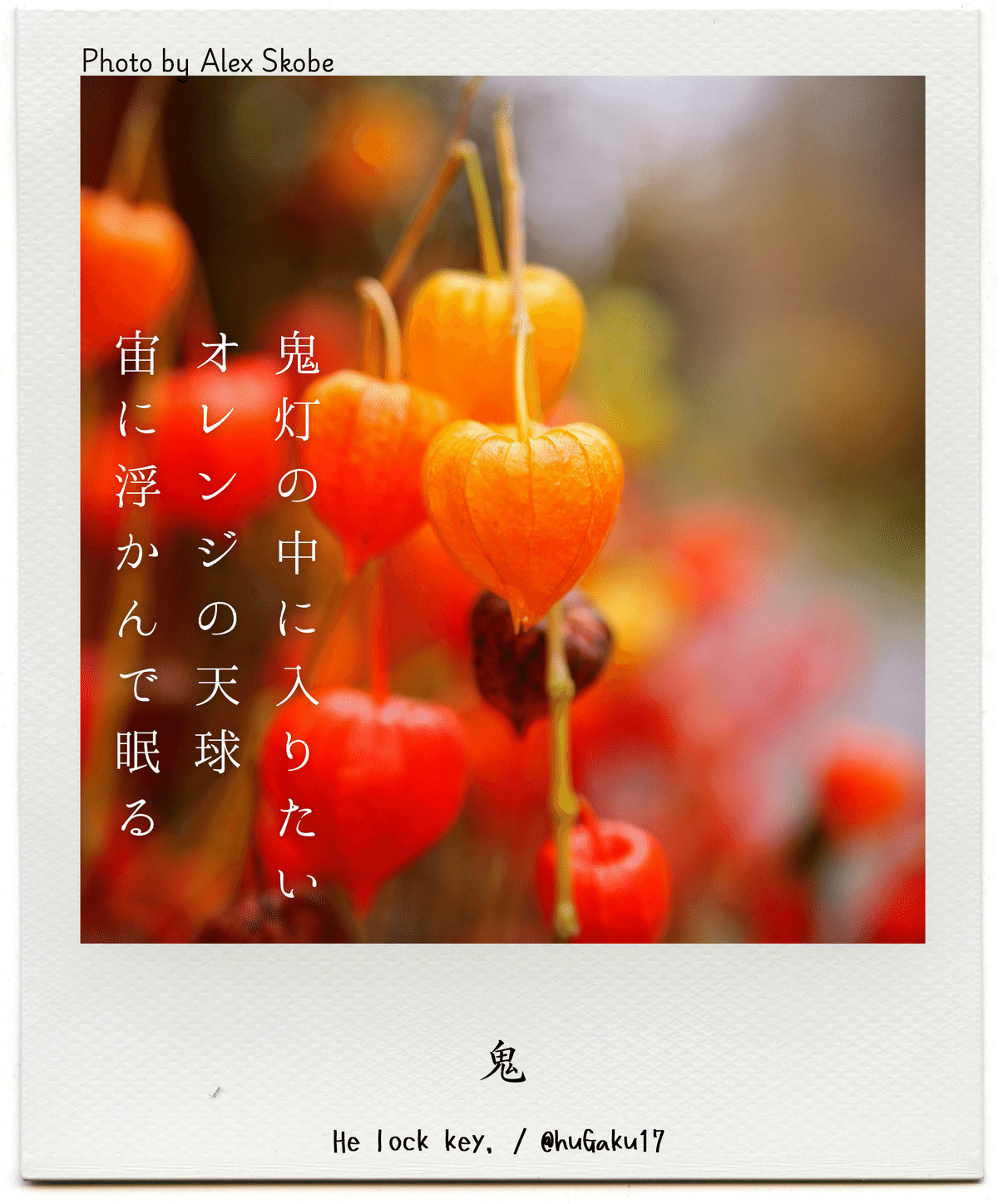 【短歌まとめ】二月度【前半】|He lock key.