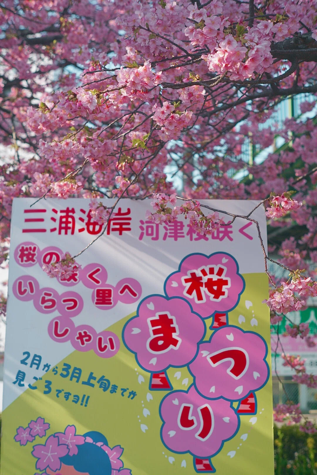2026年、2本目のオールドレンズを購入！｜kujisan