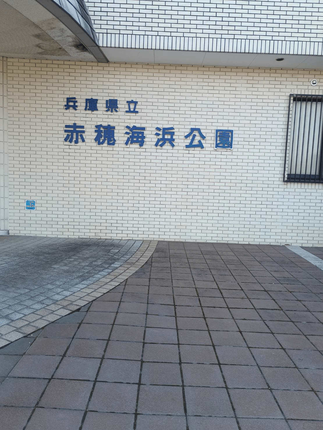 海を見に。｜さち