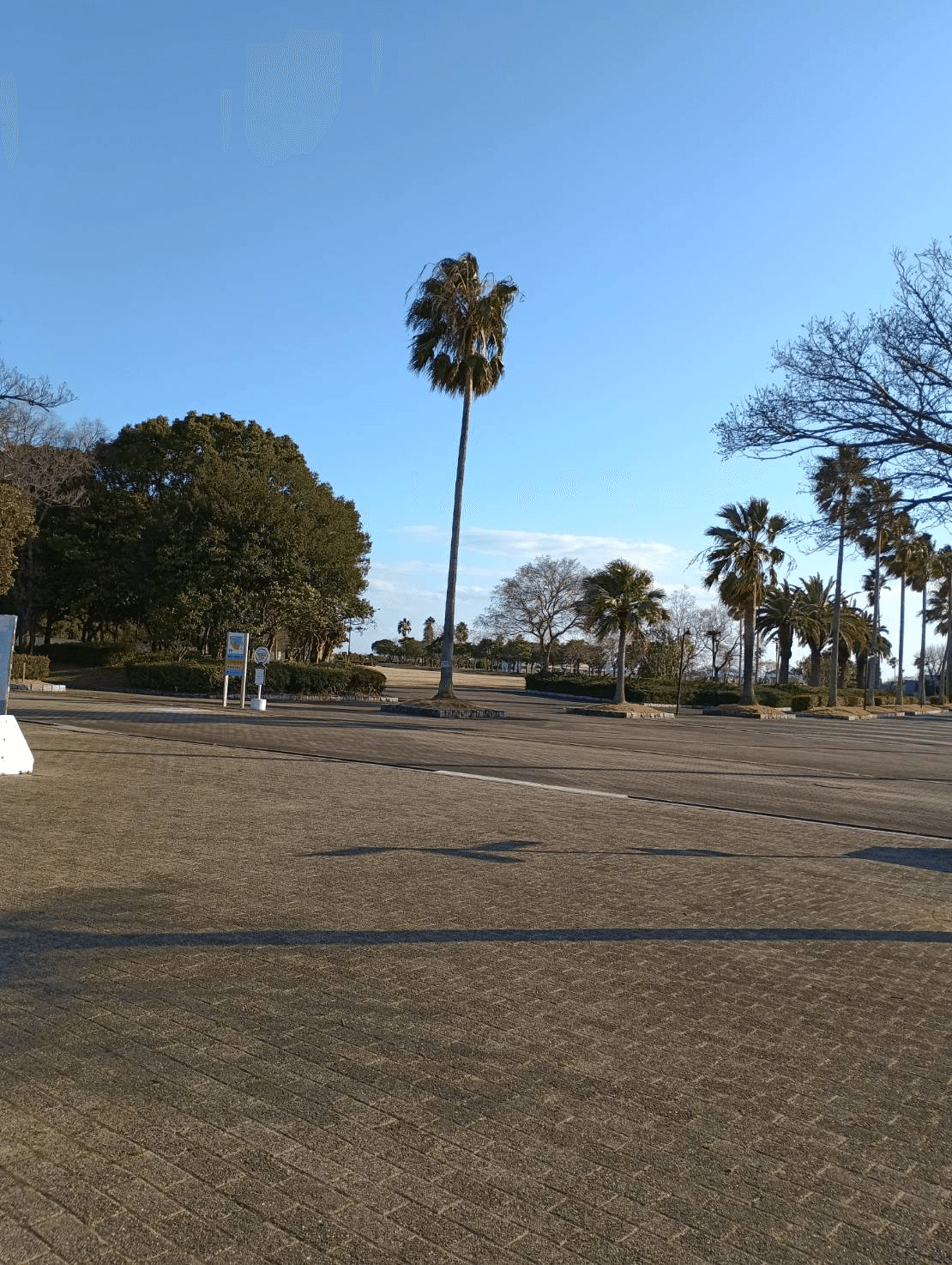 海を見に。｜さち