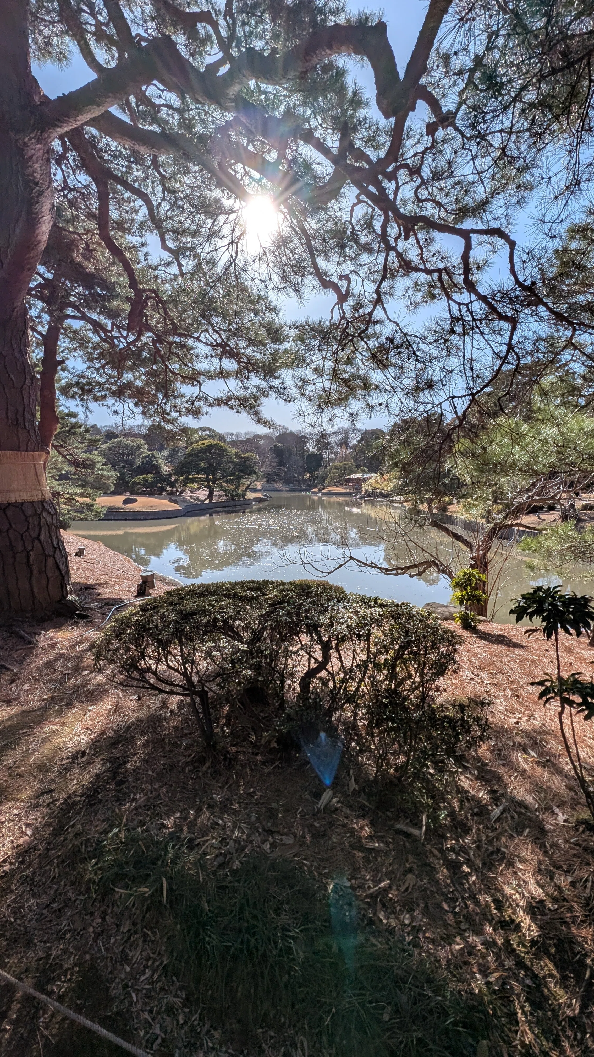 東京気になるスポット | 江戸の二大庭園 ― 「六義園」ってなに