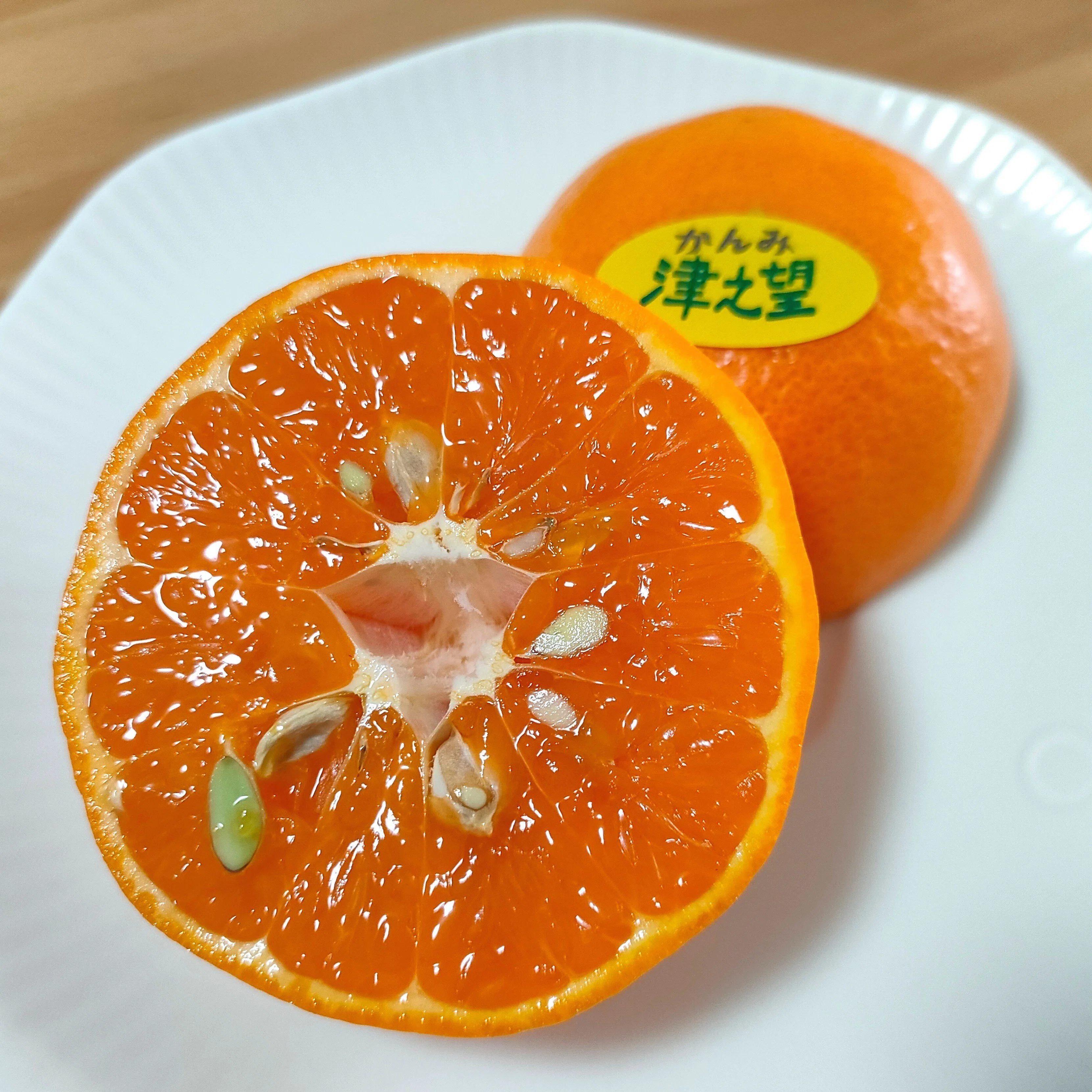 柑橘のサブスク かんみ】1月号 ｜みな