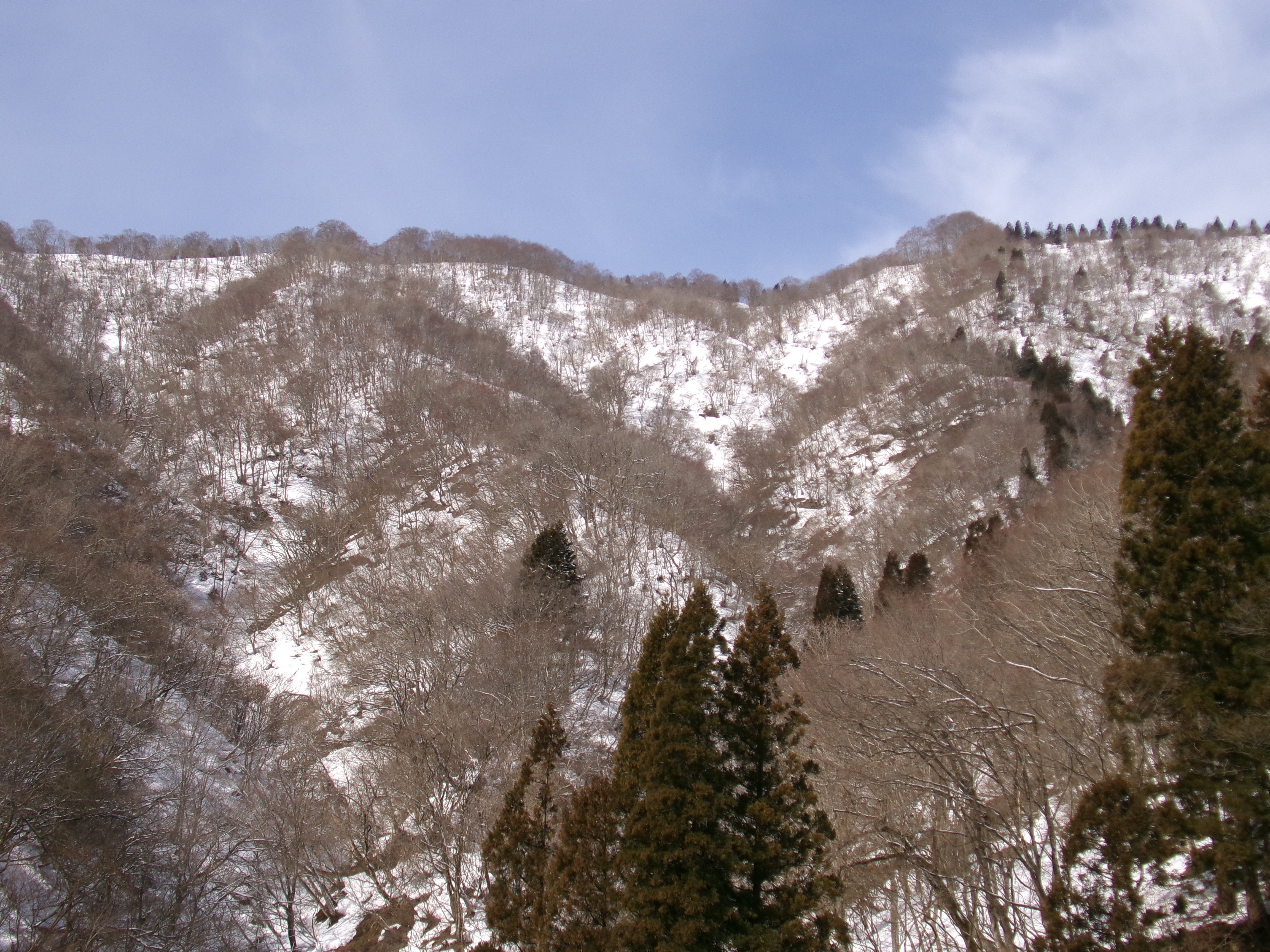 終雪かな？ 八草トンネル滋賀県側＆岐阜県側の雪景色 そのまま国道