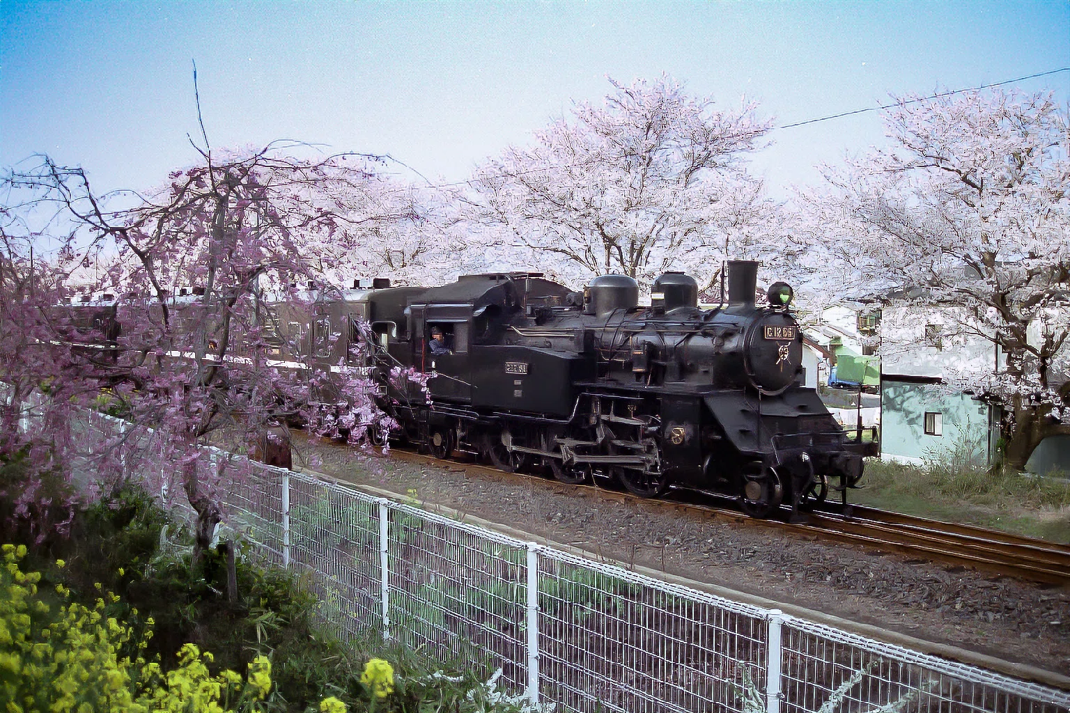 v226, 真岡鐵道：桜 （2002年）｜ひろやん