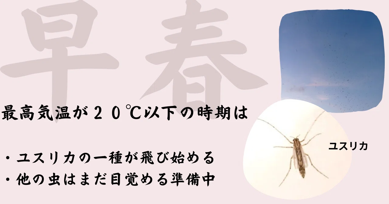 気温別・害虫出没カレンダー 〜虫の出る季節は桜から紅葉まで｜KINCHO公式note 大日本除虫菊株式会社 金鳥