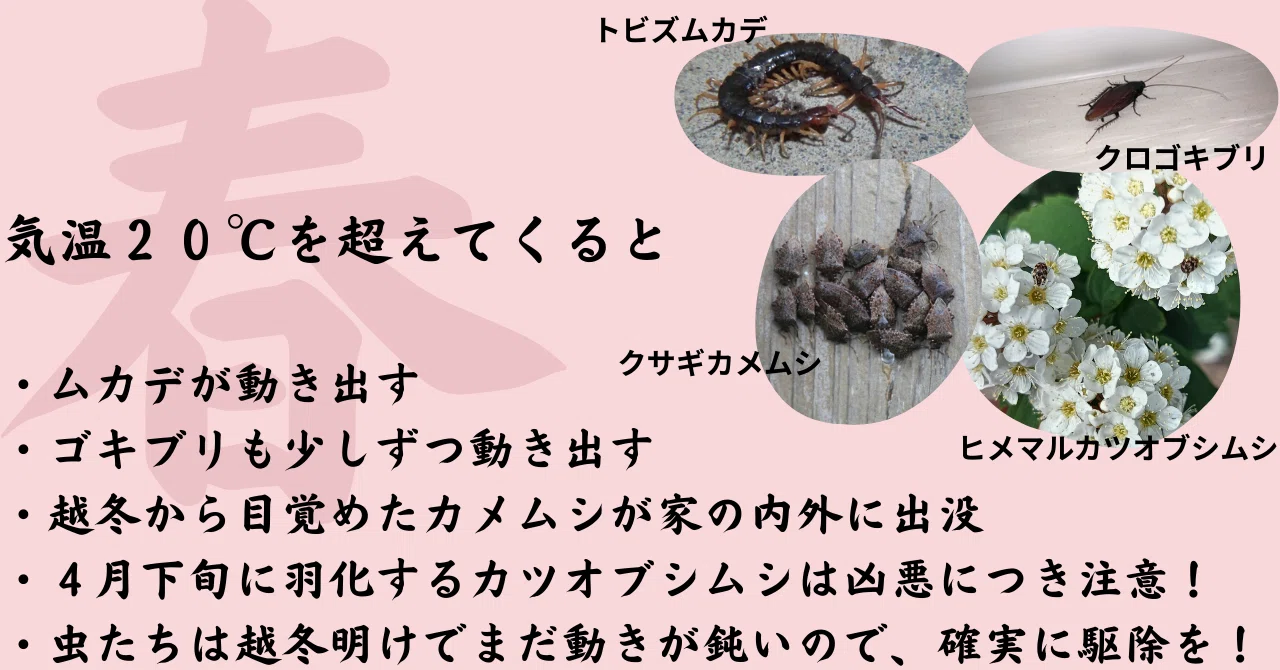 気温別・害虫出没カレンダー 〜虫の出る季節は桜から紅葉まで｜KINCHO公式note 大日本除虫菊株式会社 金鳥