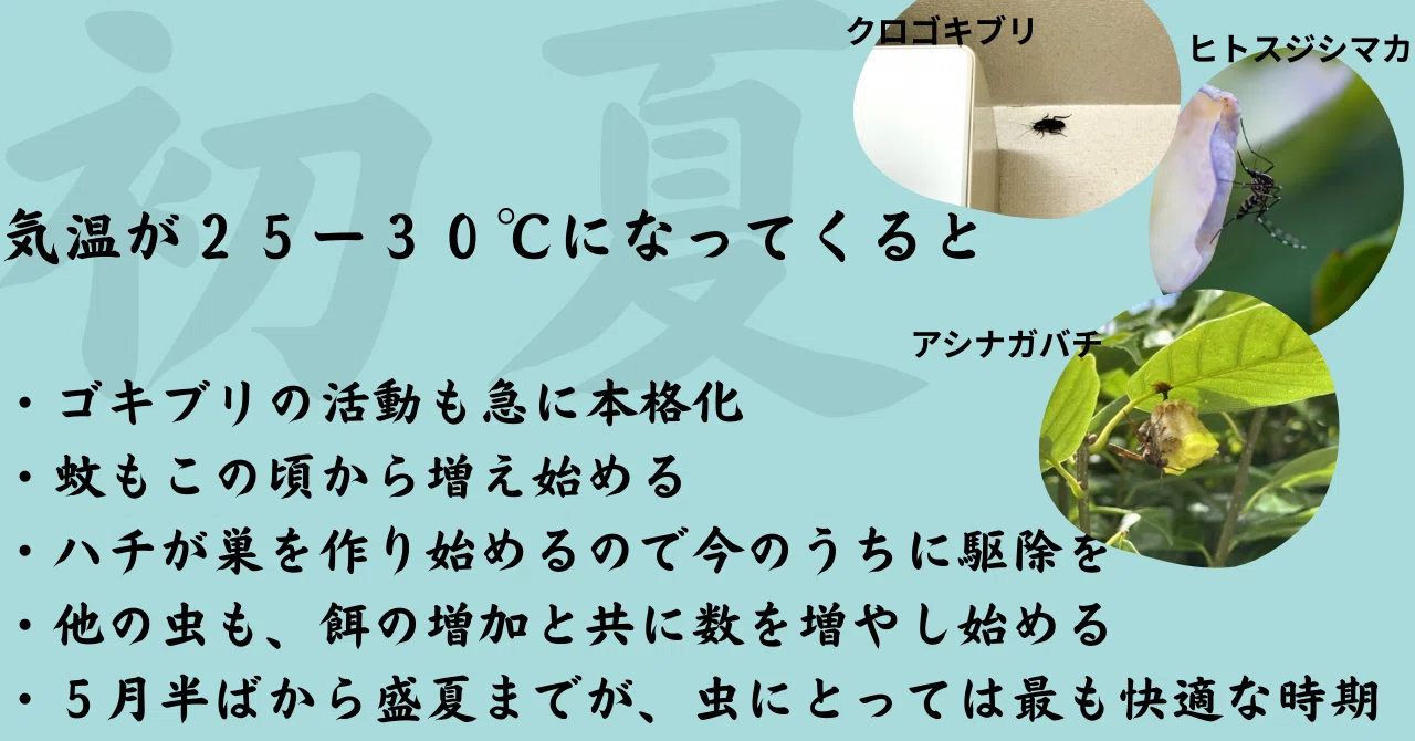 気温別・害虫出没カレンダー 〜虫の出る季節は桜から紅葉まで｜KINCHO公式note 大日本除虫菊株式会社 金鳥