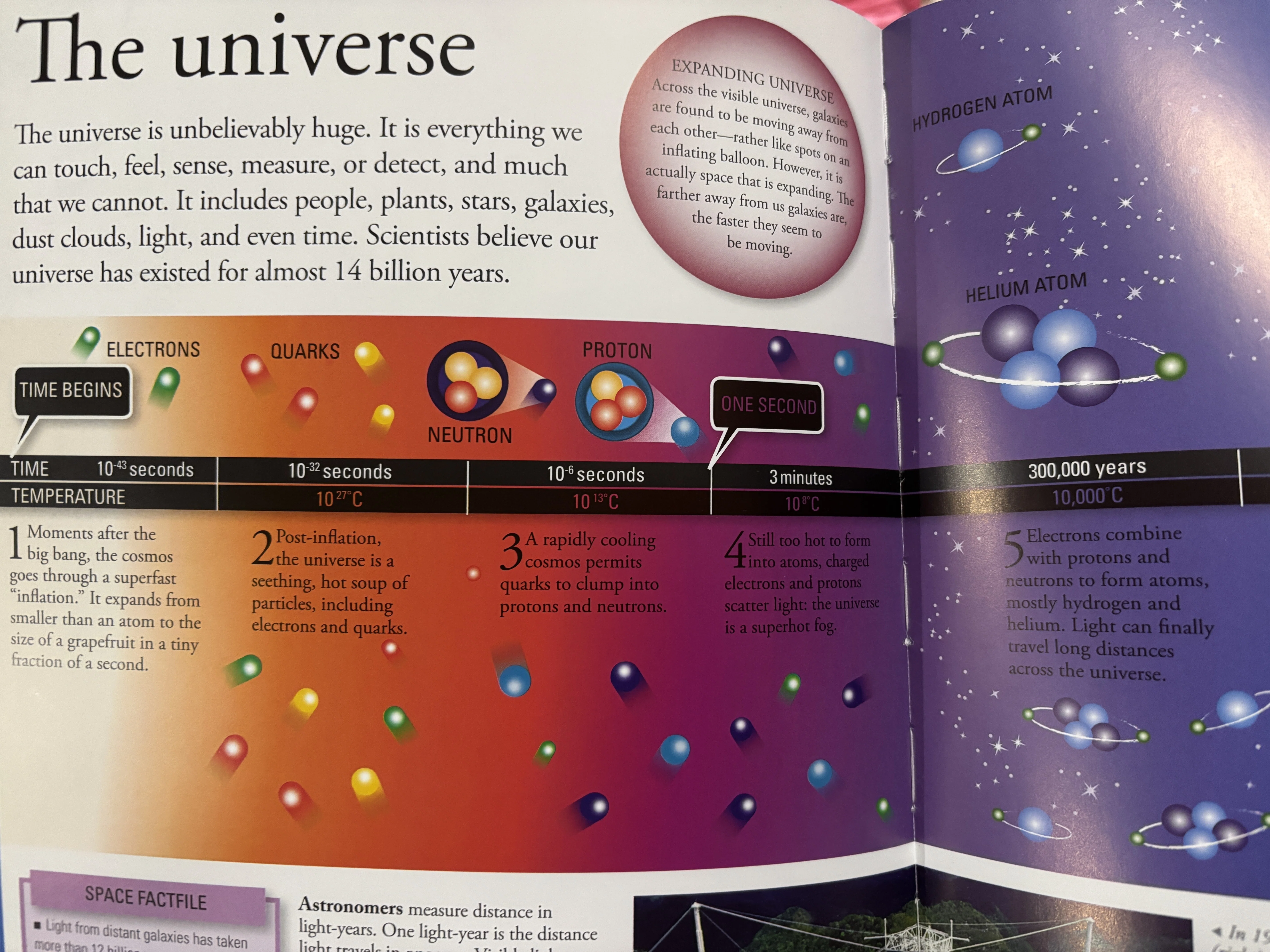 9歳〜の百科事典（encyclopedia）を比較！同じテーマでも切り取り方が