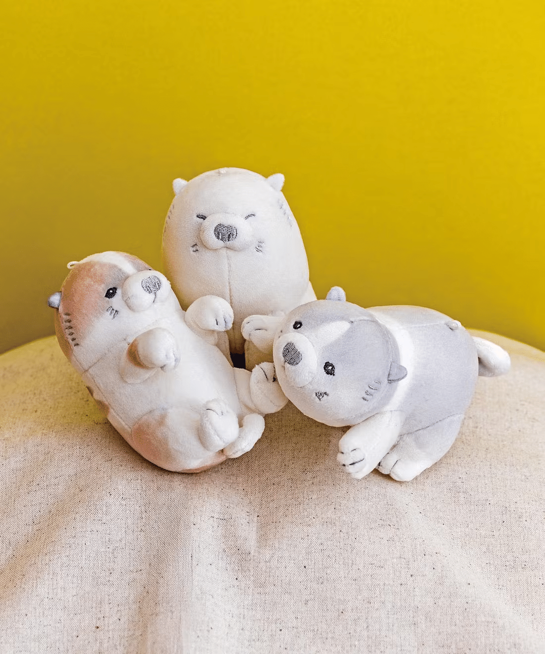 なぜ私たちはこの「ゆるい子犬」に救われるのか？江戸わんこ多頭飼いの