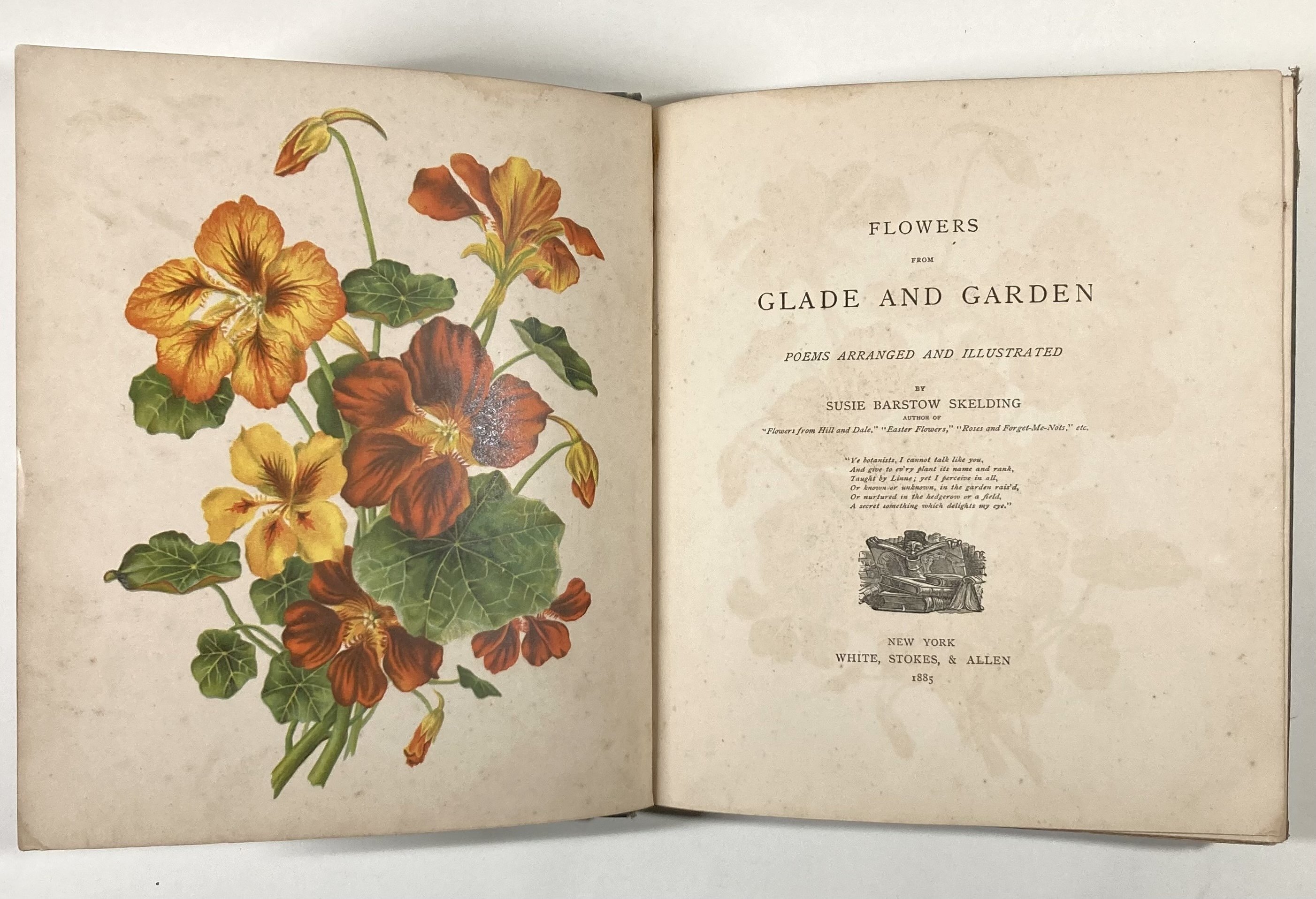 林間と庭園の花々｜daily-sumus note