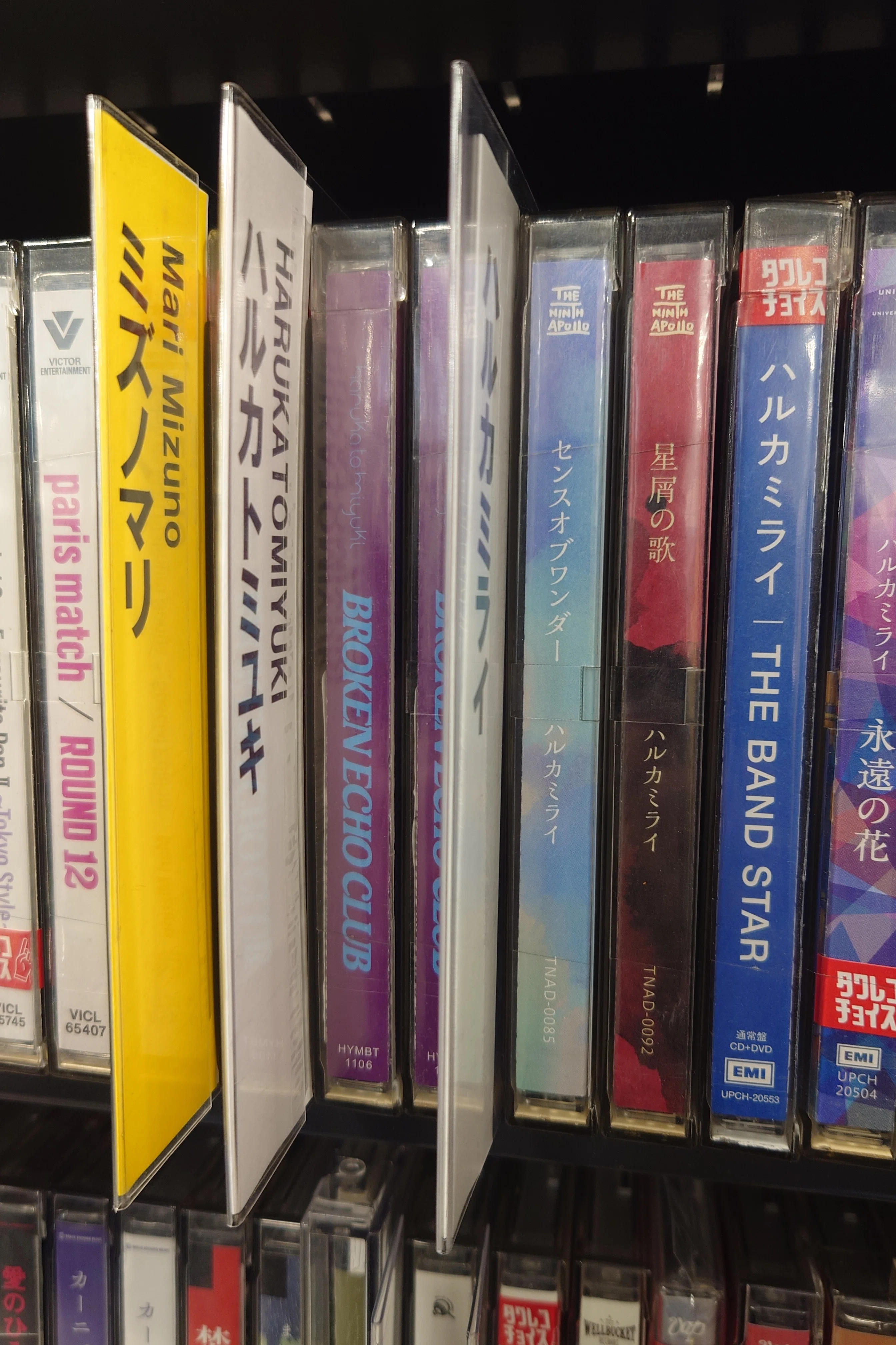 ハルカトミユキ / BROKEN ECHO CLUB 会場限定CD ハルカトミユキのアルバム『BROKEN ECHO CLUB』を購入｜ショウ