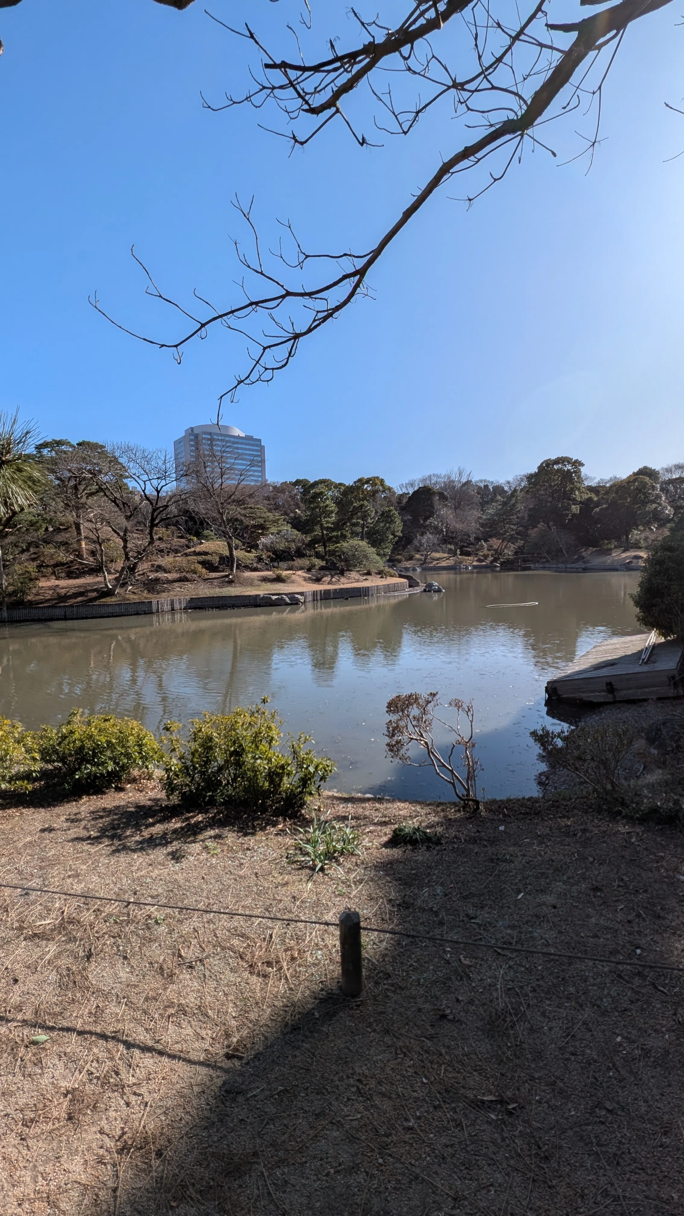 東京気になるスポット | 江戸の二大庭園 ― 「六義園」ってなに