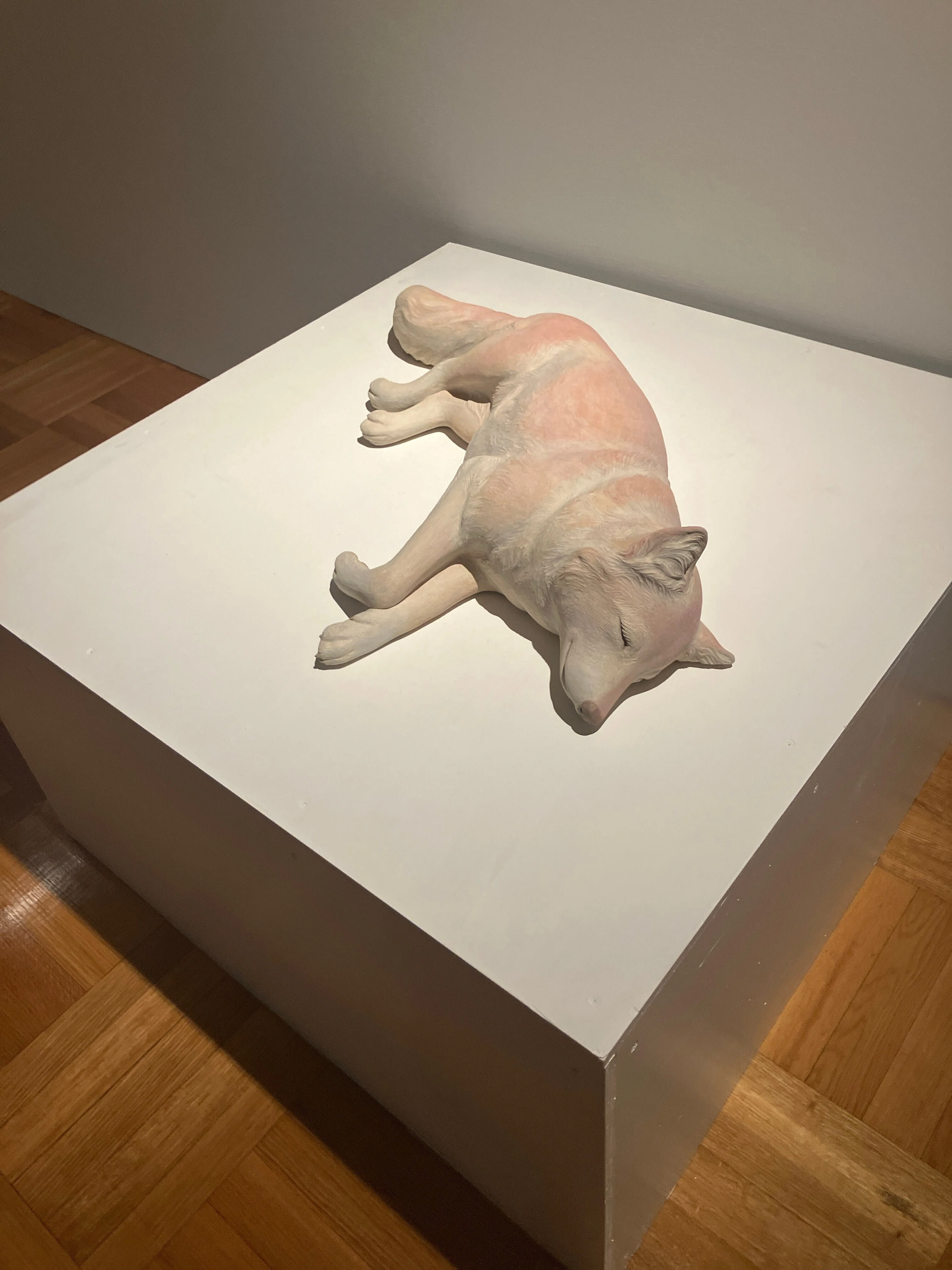Azumino Art Museum] Viewing the Works of Mitsuko Taira｜信州大学人