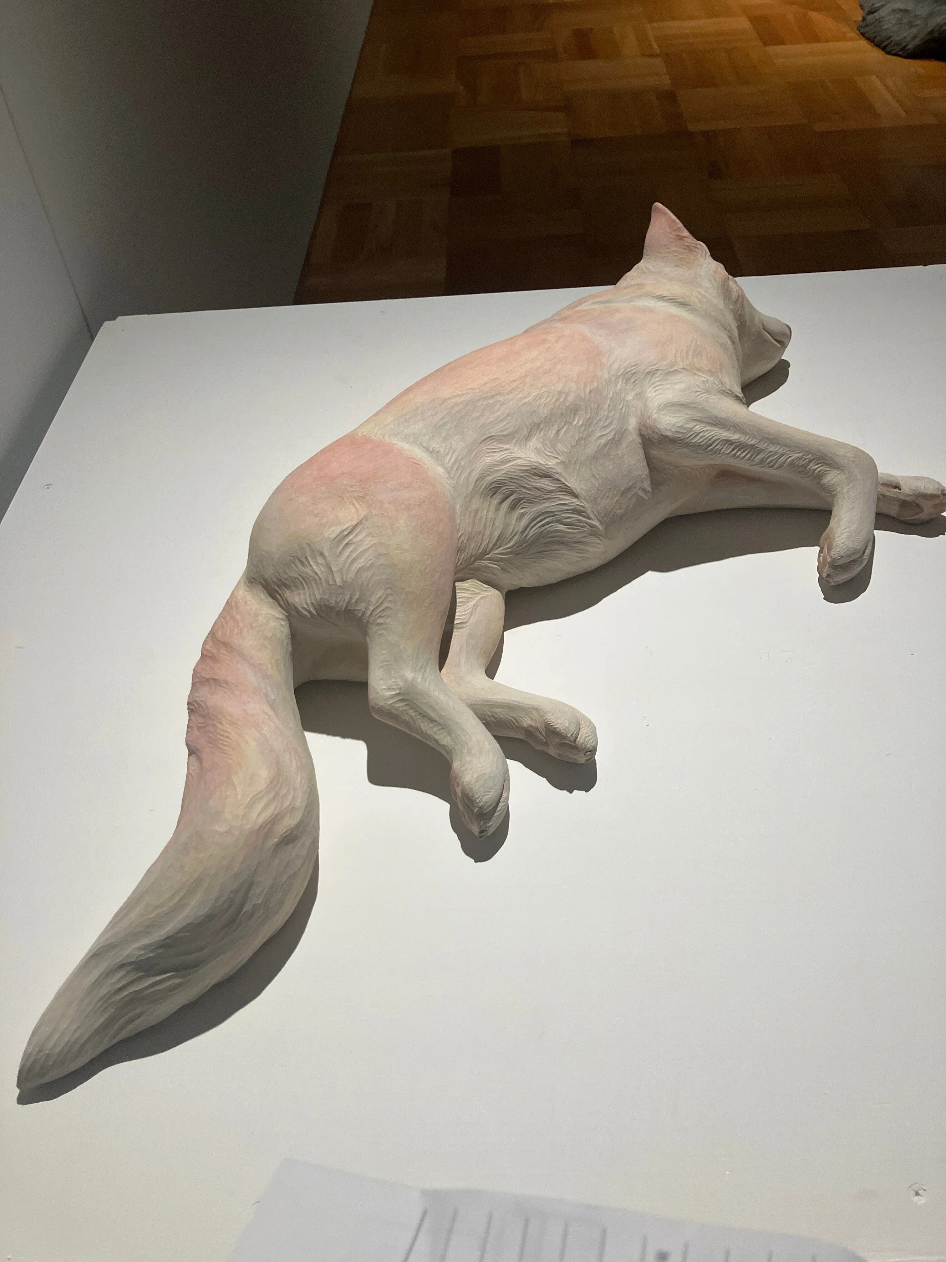 Azumino Art Museum] Viewing the Works of Mitsuko Taira｜信州大学人