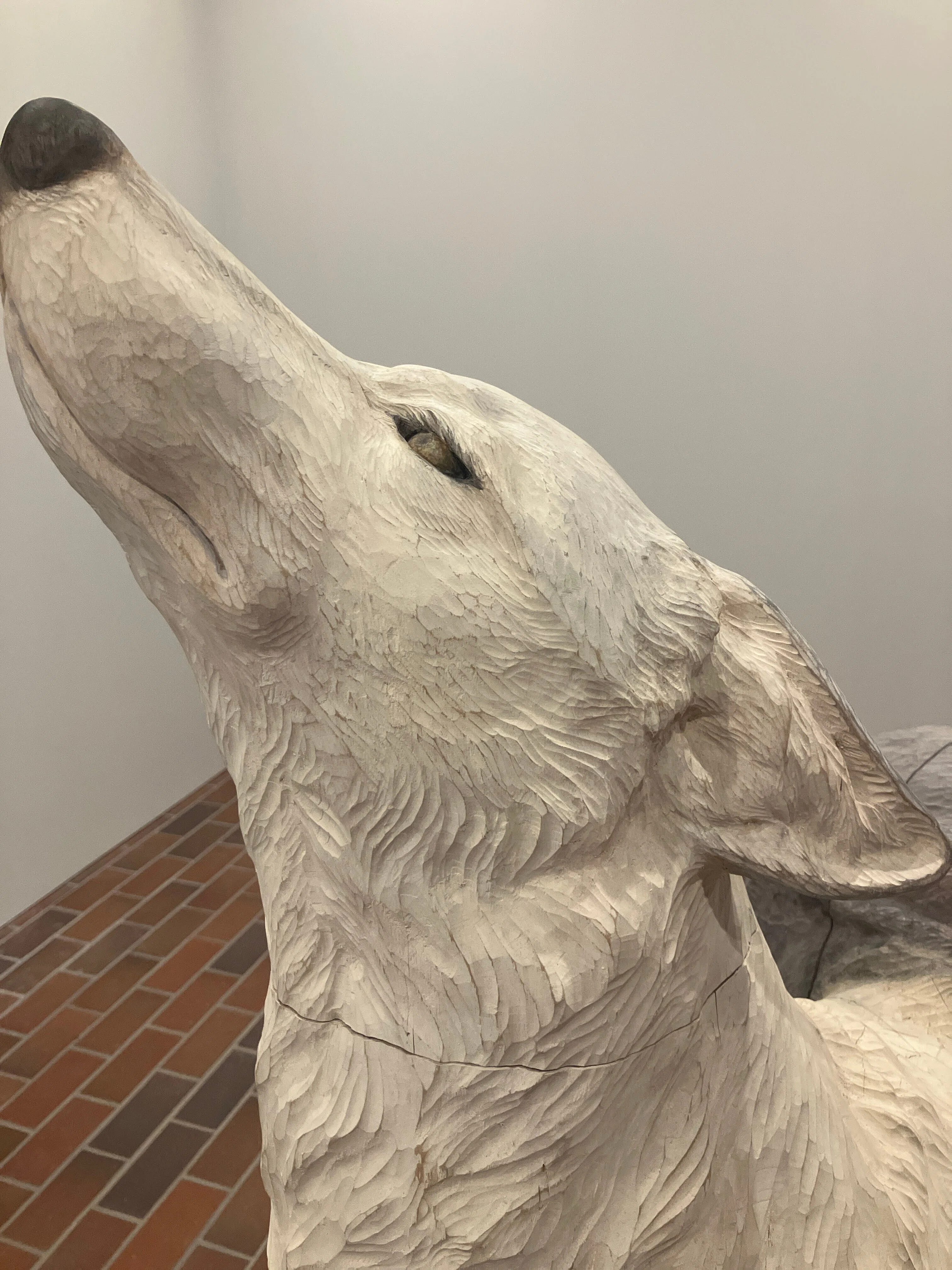 Azumino Art Museum] Viewing the Works of Mitsuko Taira｜信州大学人