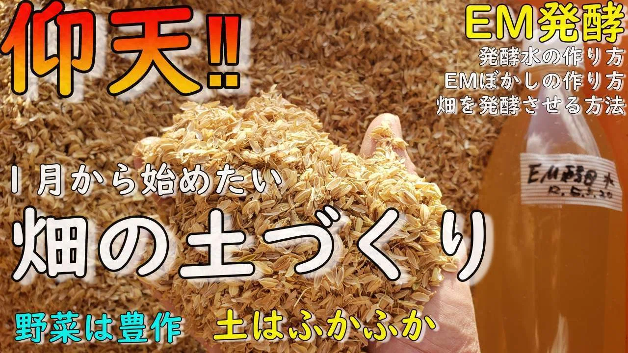 [Seasonal] How do beneficial bacteria change during Bokashi making ...