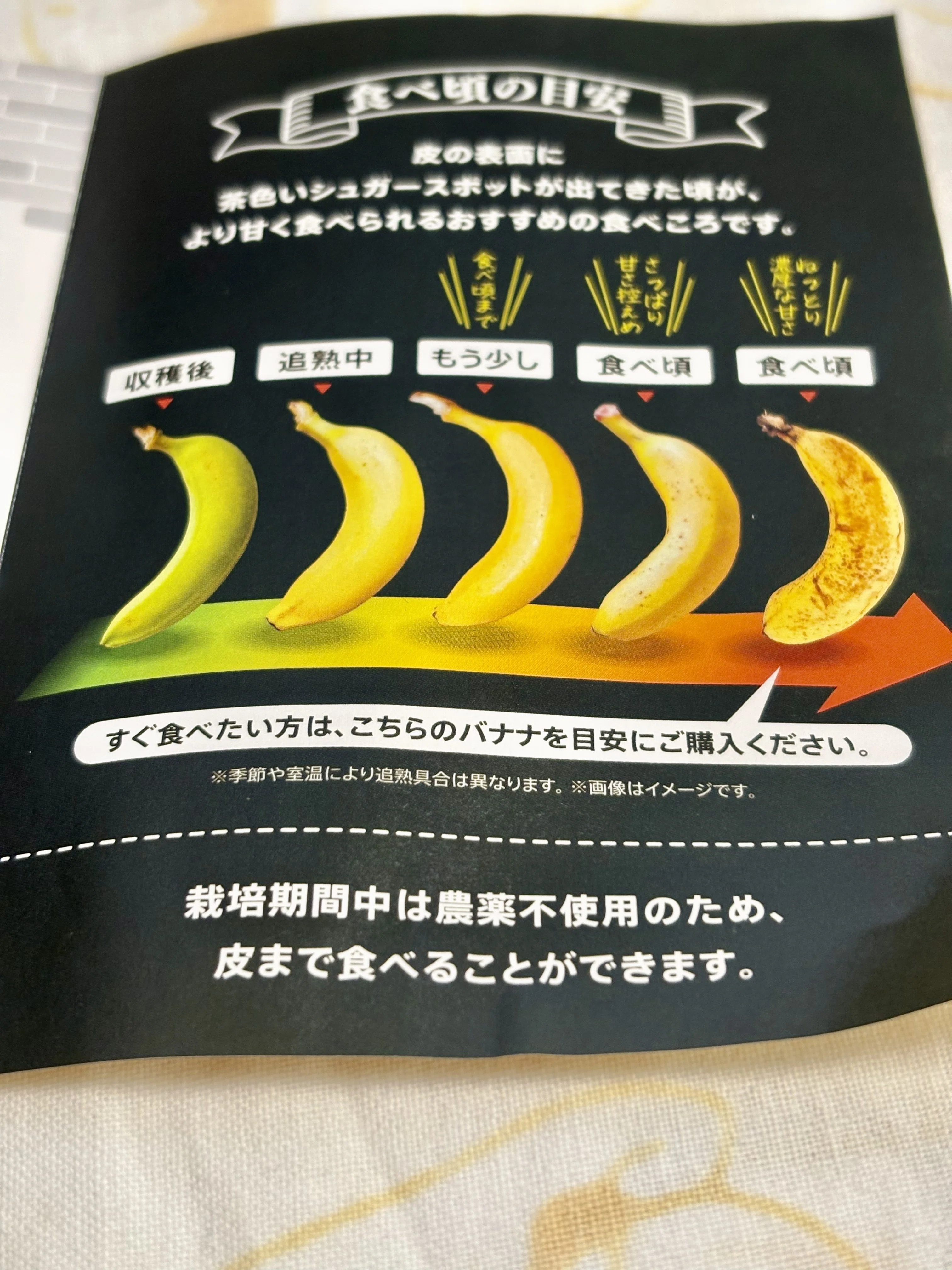 今日の「こんなものを買った。」】_「『まえばしバナナ』熟成観察日記