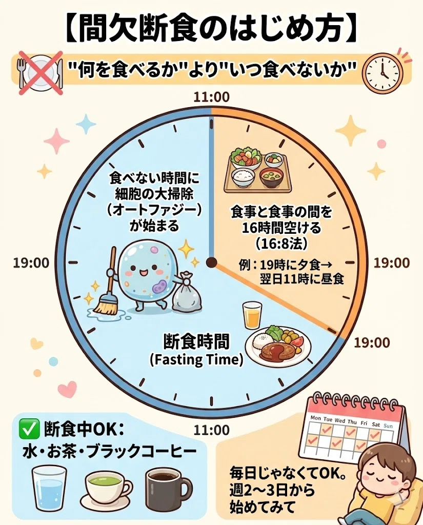 オートファジー アンチエイジング 断食 睡眠 運動 美肌 15日