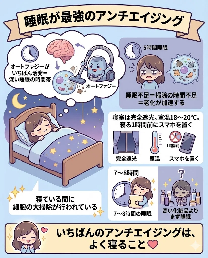 オートファジー アンチエイジング 断食 睡眠 運動 美肌 15日