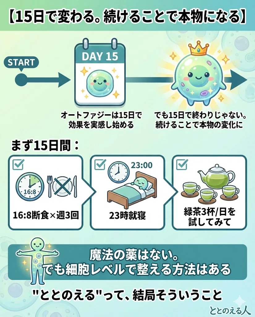 オートファジー アンチエイジング 断食 睡眠 運動 美肌 15日
