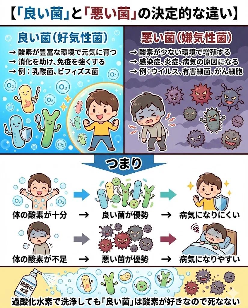 好気性菌 嫌気性菌 腸内細菌 善玉菌 悪玉菌 酸素 免疫 感染症