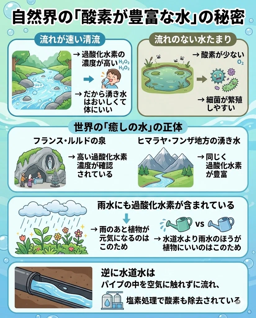 湧き水 清流 過酸化水素 ルルドの泉 フンザ 雨水 水道水 酸素 自然