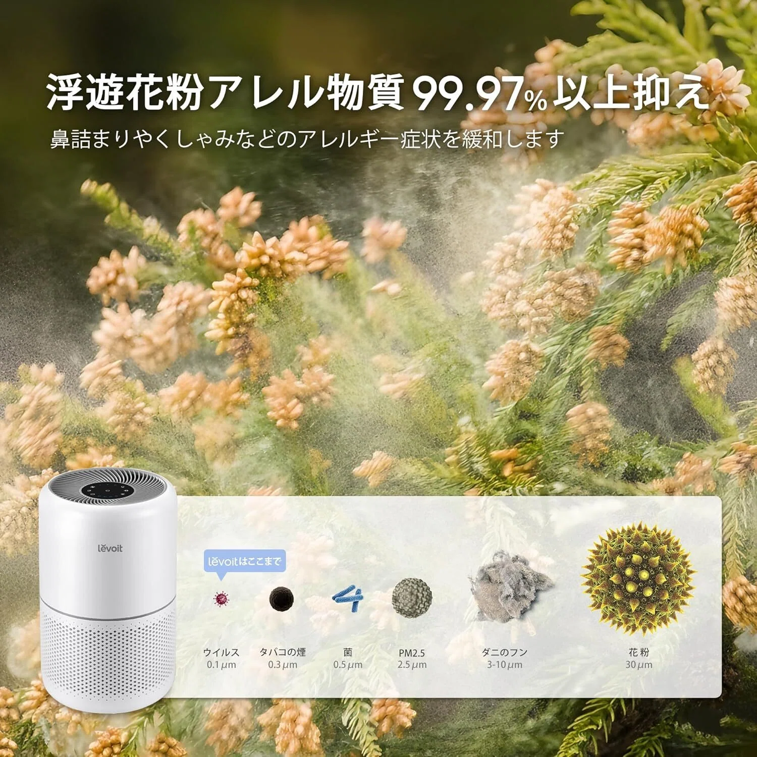 Levoit Core 300 PlasmaPro 空気清浄機 花粉 Levoit (レボイト） 小型空気清浄機 Core300 （〜20畳） ブラック 花粉
