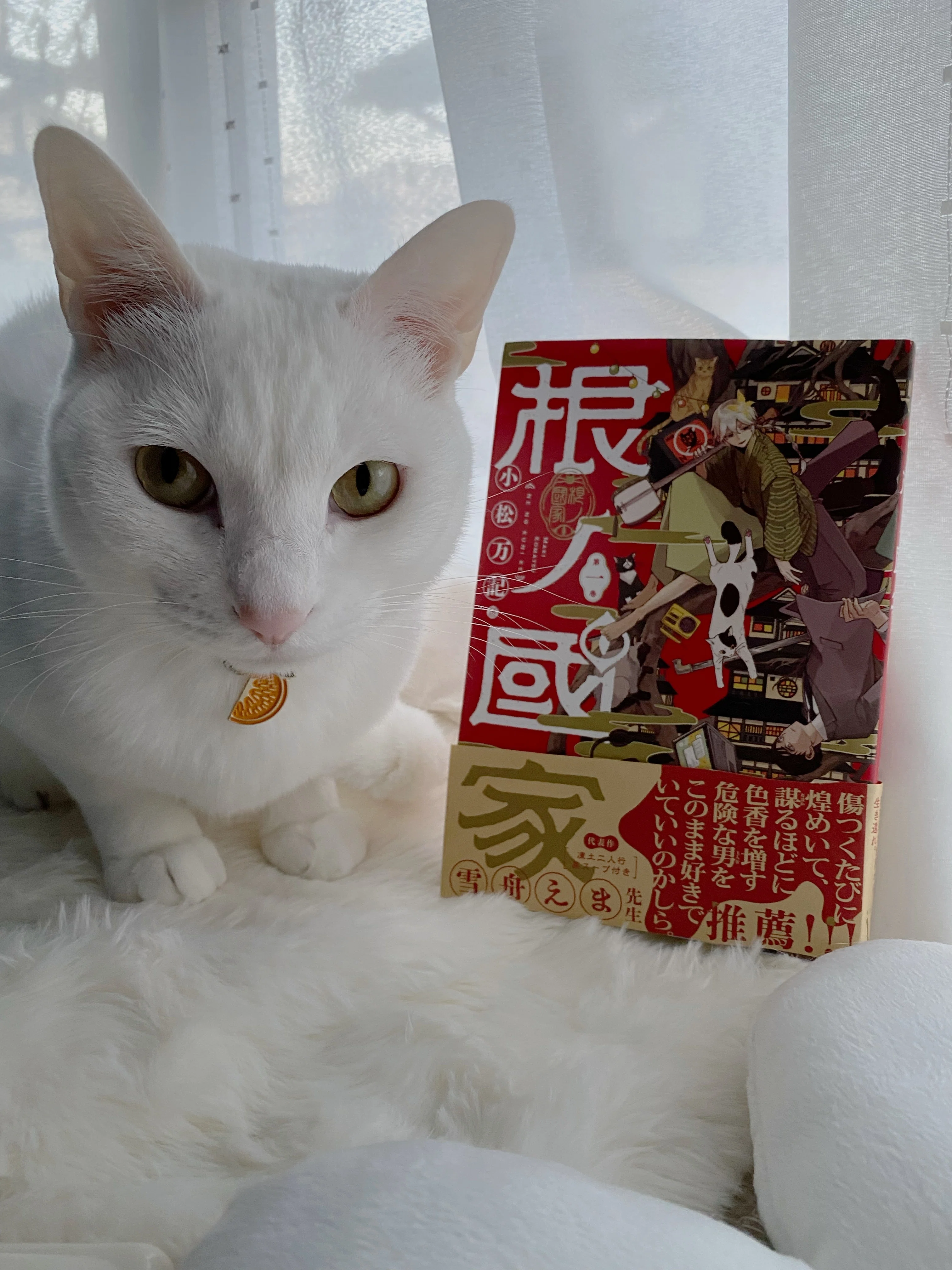 個人書店さんへのサイン本納品企画&募集｜小松万記