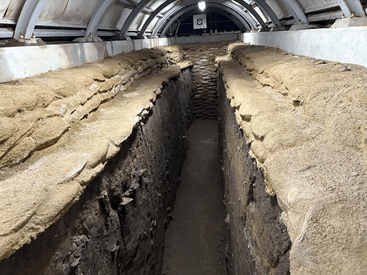 私は石を手放せない―古代装飾品が持っていた意味の世界への回帰【随筆