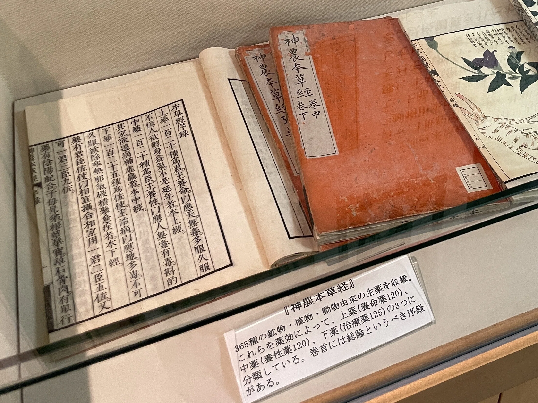 医方 大成論和語鈔 Amazon.co.jp: 改訂版 一語でわかる中医用語辞典 : 辰巳洋: 本