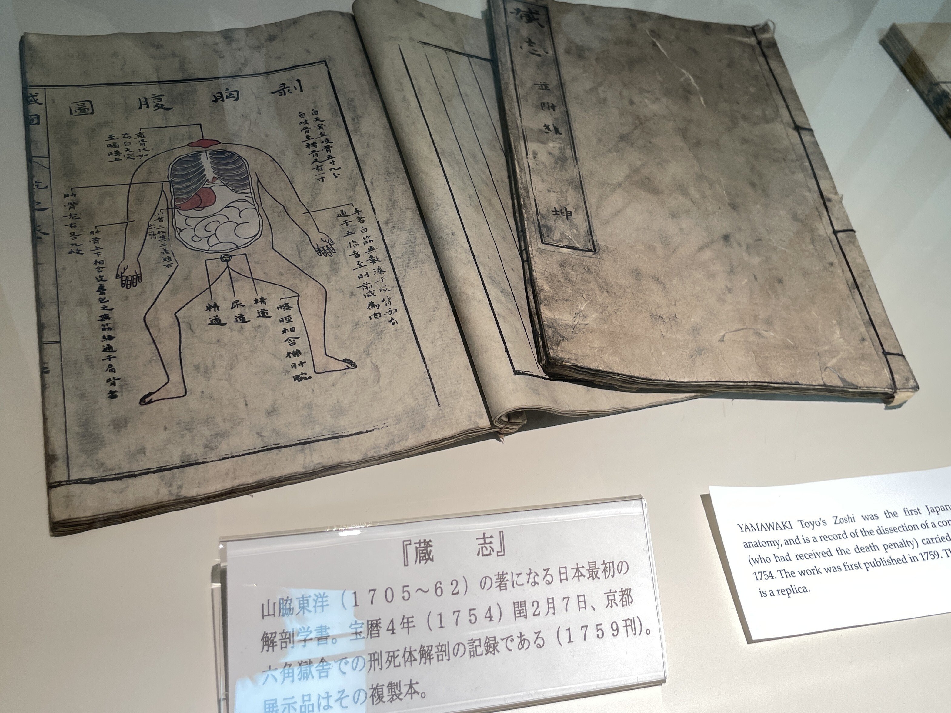 すごい博物館157】北里大学北里研究所病院・東洋医学資料展示室：古代