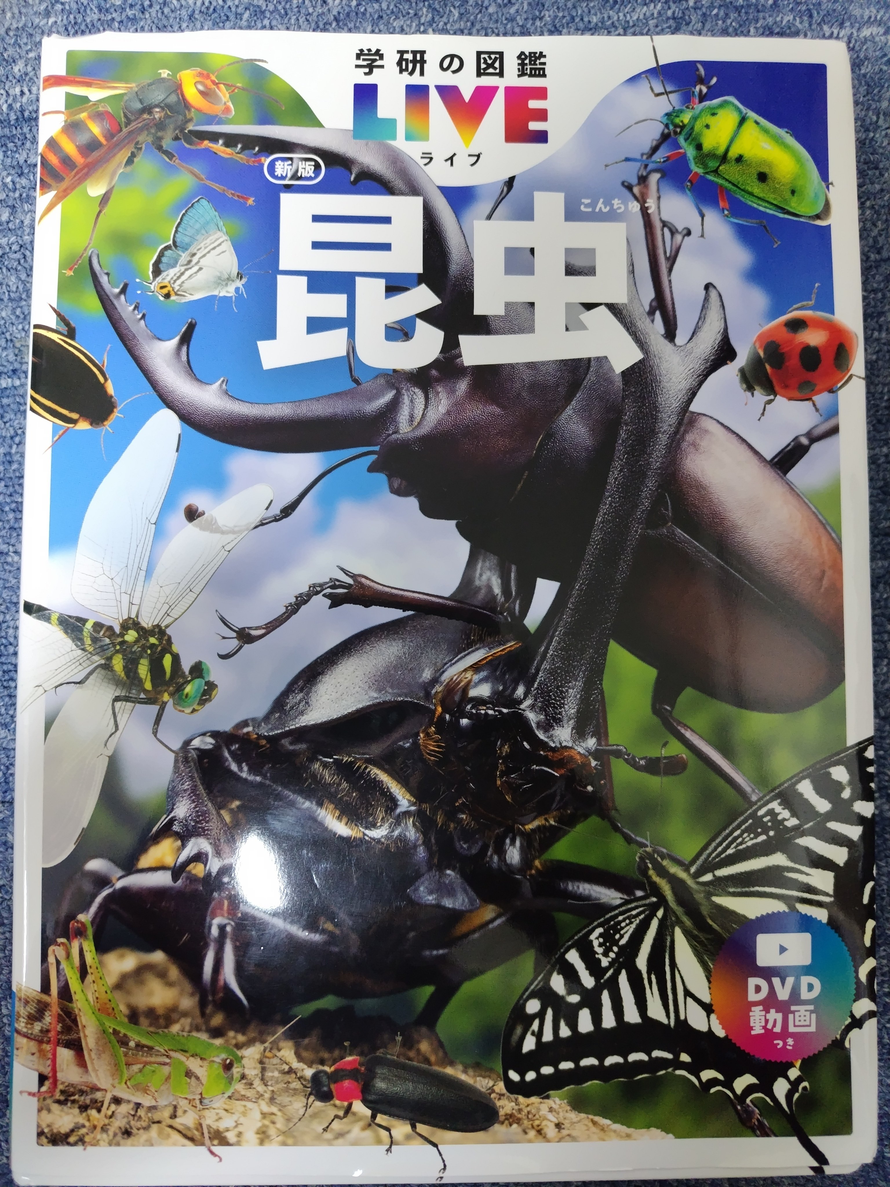 神的な一冊「学研の図鑑LIVE(ライブ) 昆虫新版 学研出版」｜itsuki0521