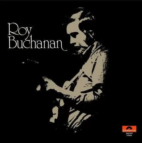 懐かしのブログネタ復刻シリーズ【ROY BUCHANANの『メシアが再び』は