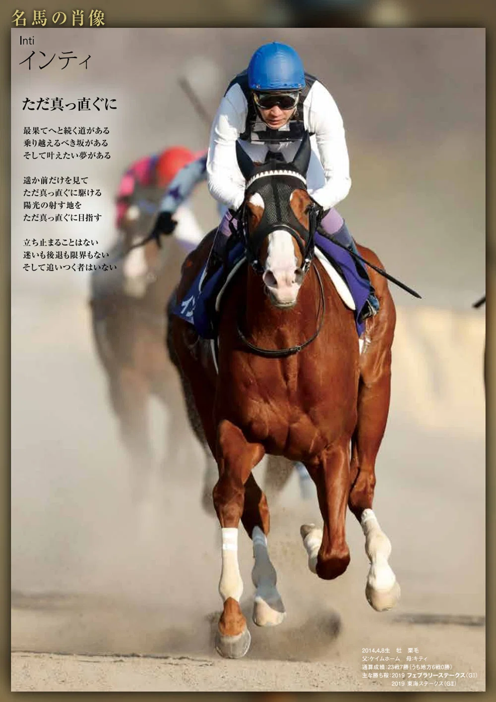 フェブラリーステークス2026サイン攻略4【レープロ解読】｜日本サイン