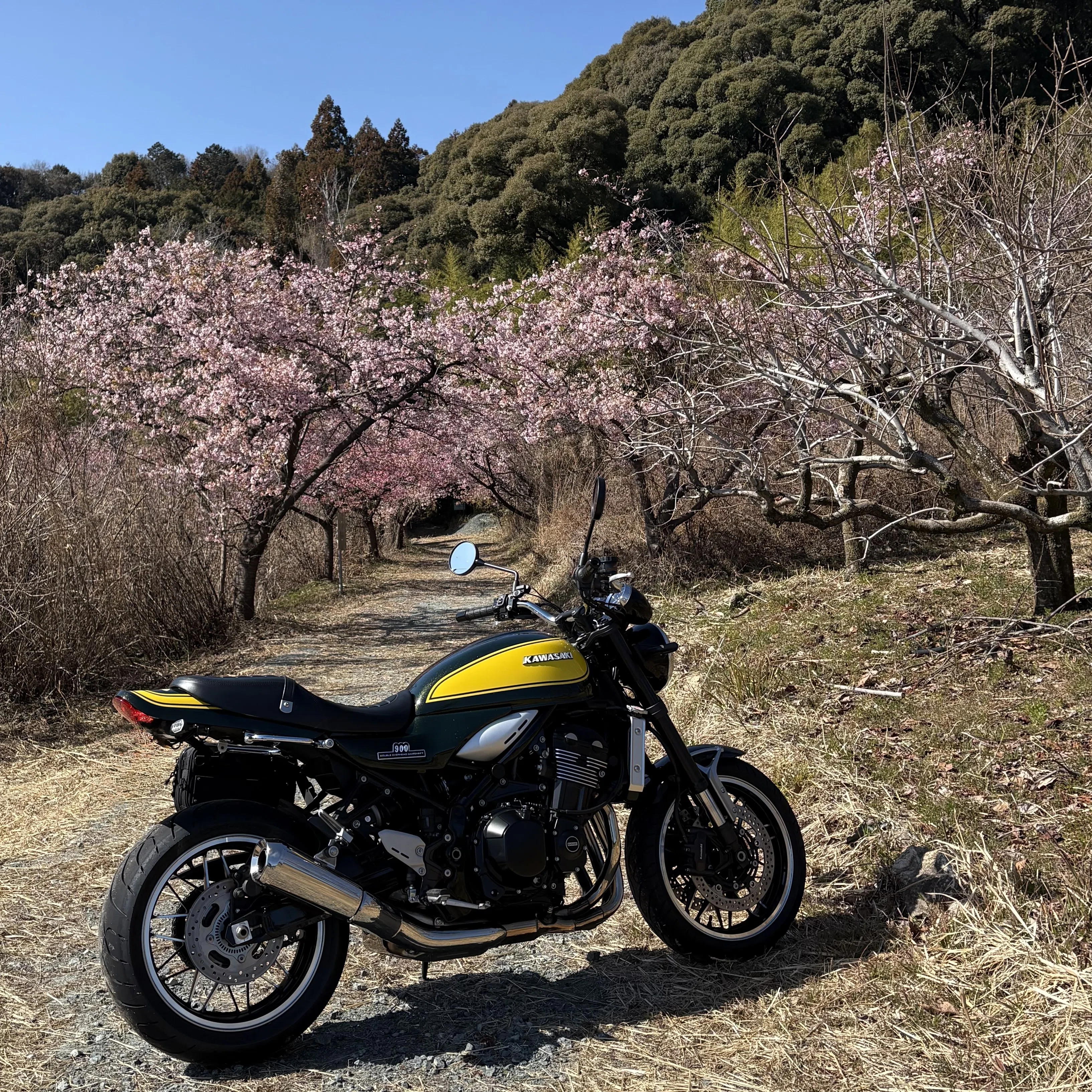 Z900RS Ride 春はもうすぐ 2026/02/21｜Mick Kamihara