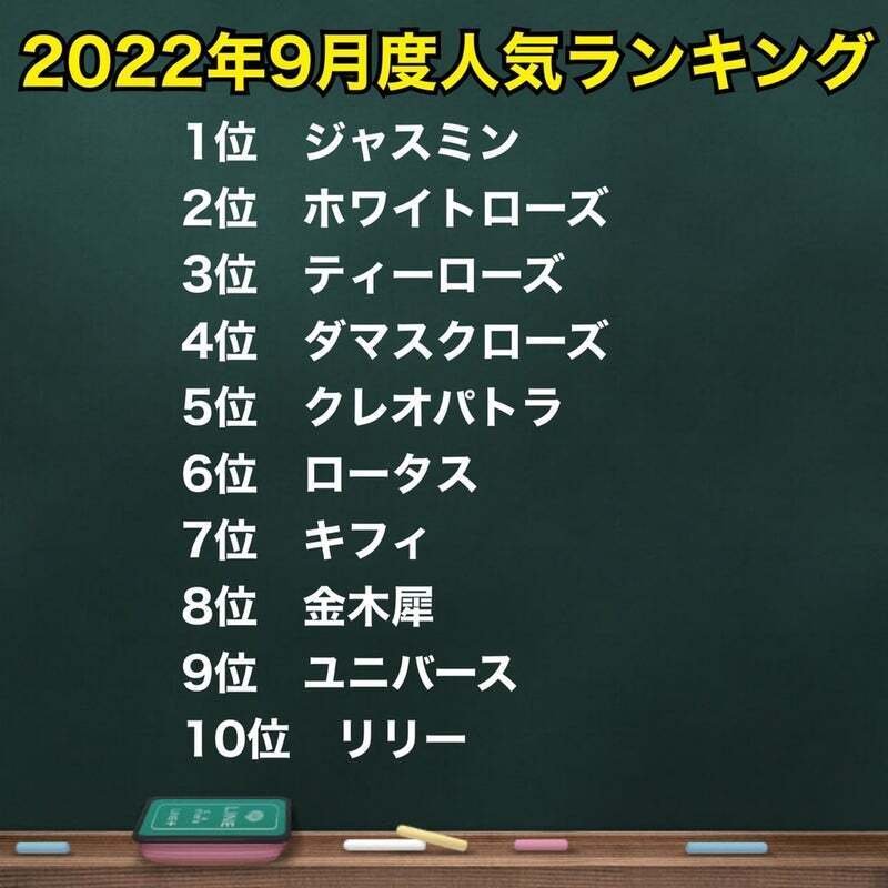 2022年9月度人気ランキング】｜エジプト香油専門店OIL