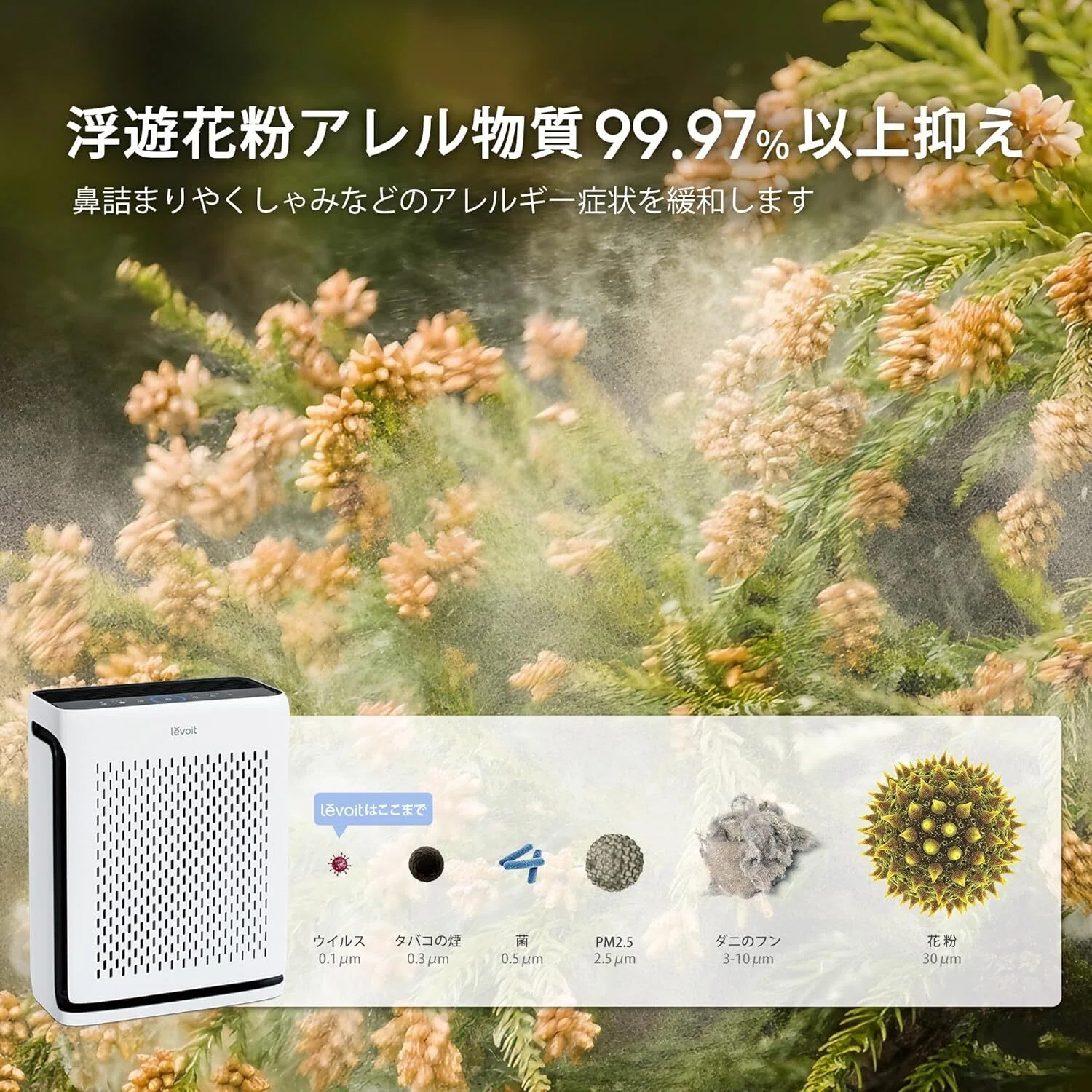 ガチでエグい！花粉症対策におすすめ空気清浄機「Levoit レボイト ハイ