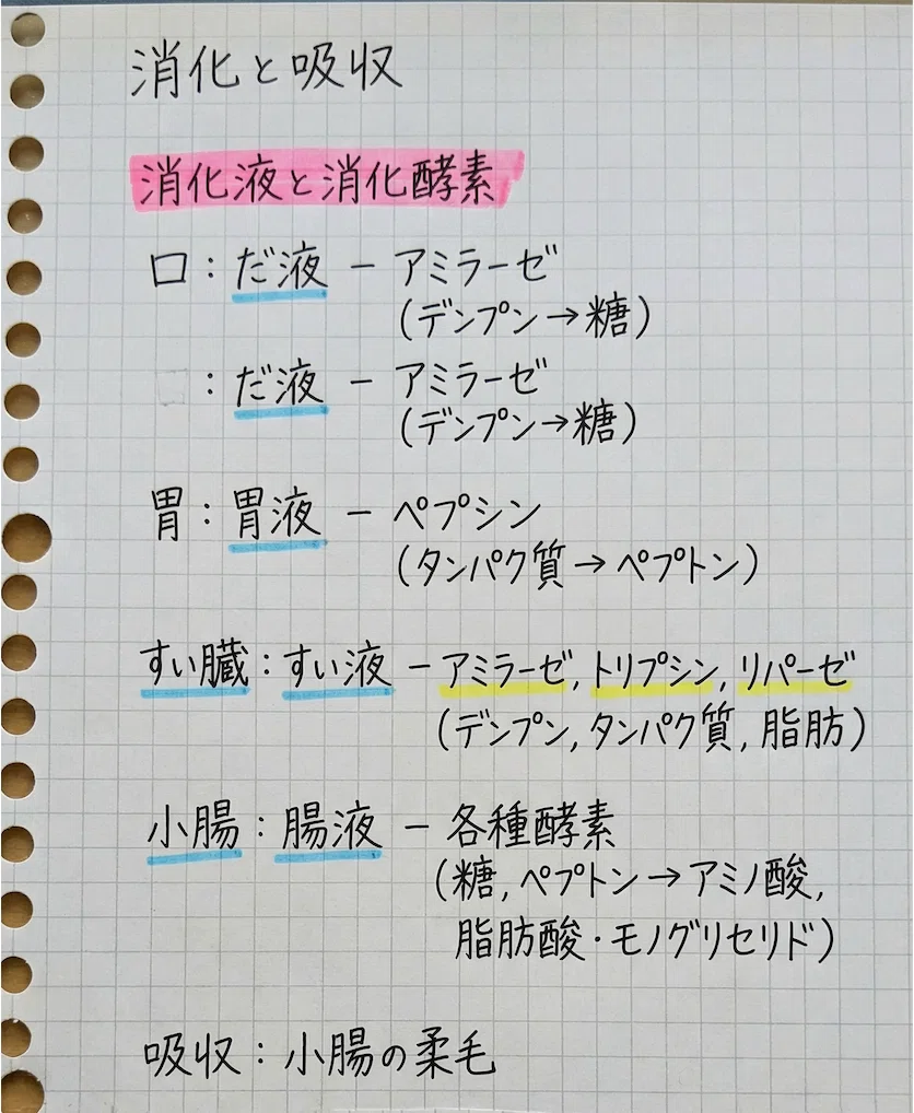 あなたの手書きノートが「見やすい参考書」に変わる｜Googleが提唱する