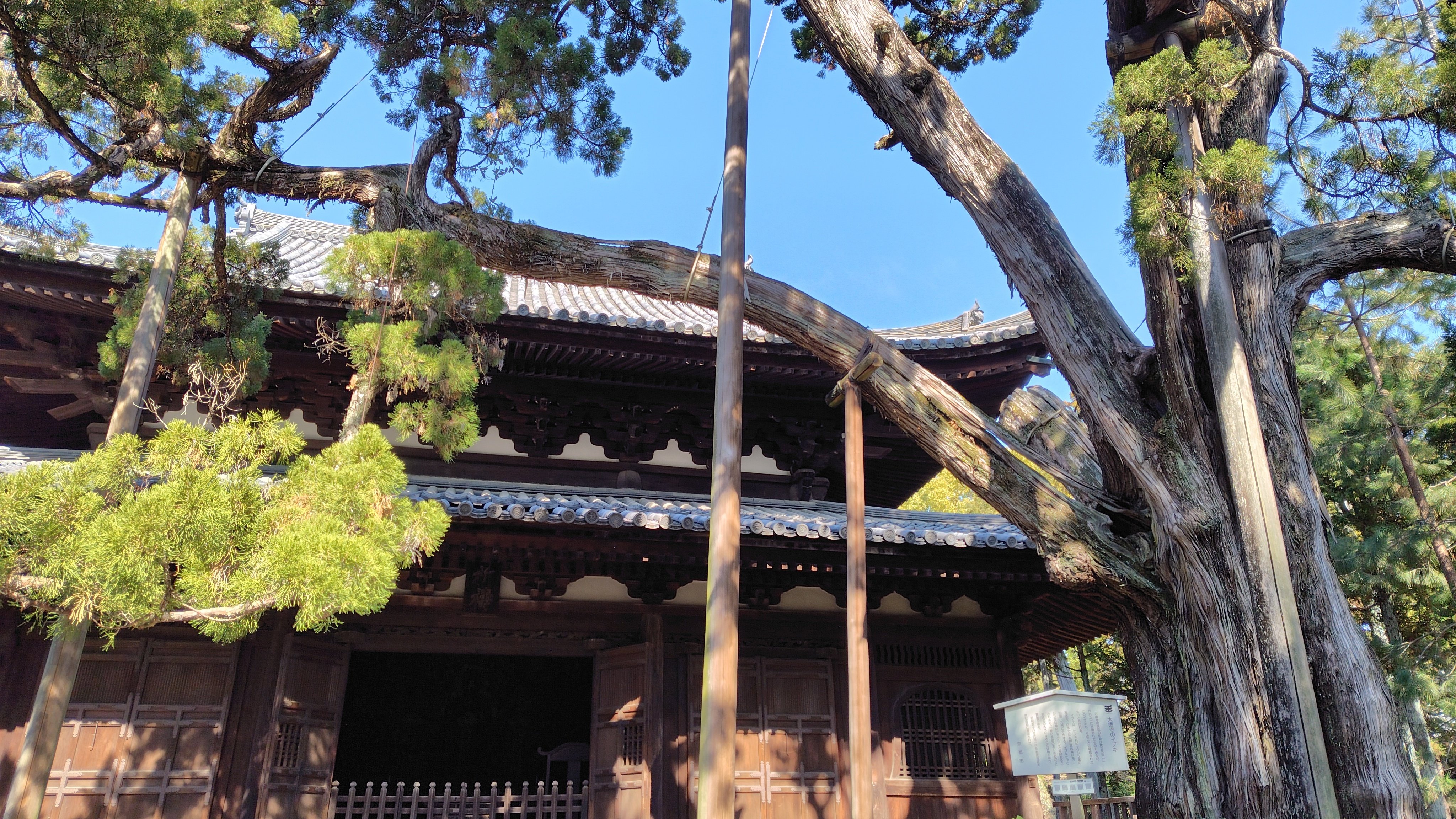 新てくてくnote 臨済宗大徳寺派大本山 龍宝山大徳寺【京の冬の旅 特別