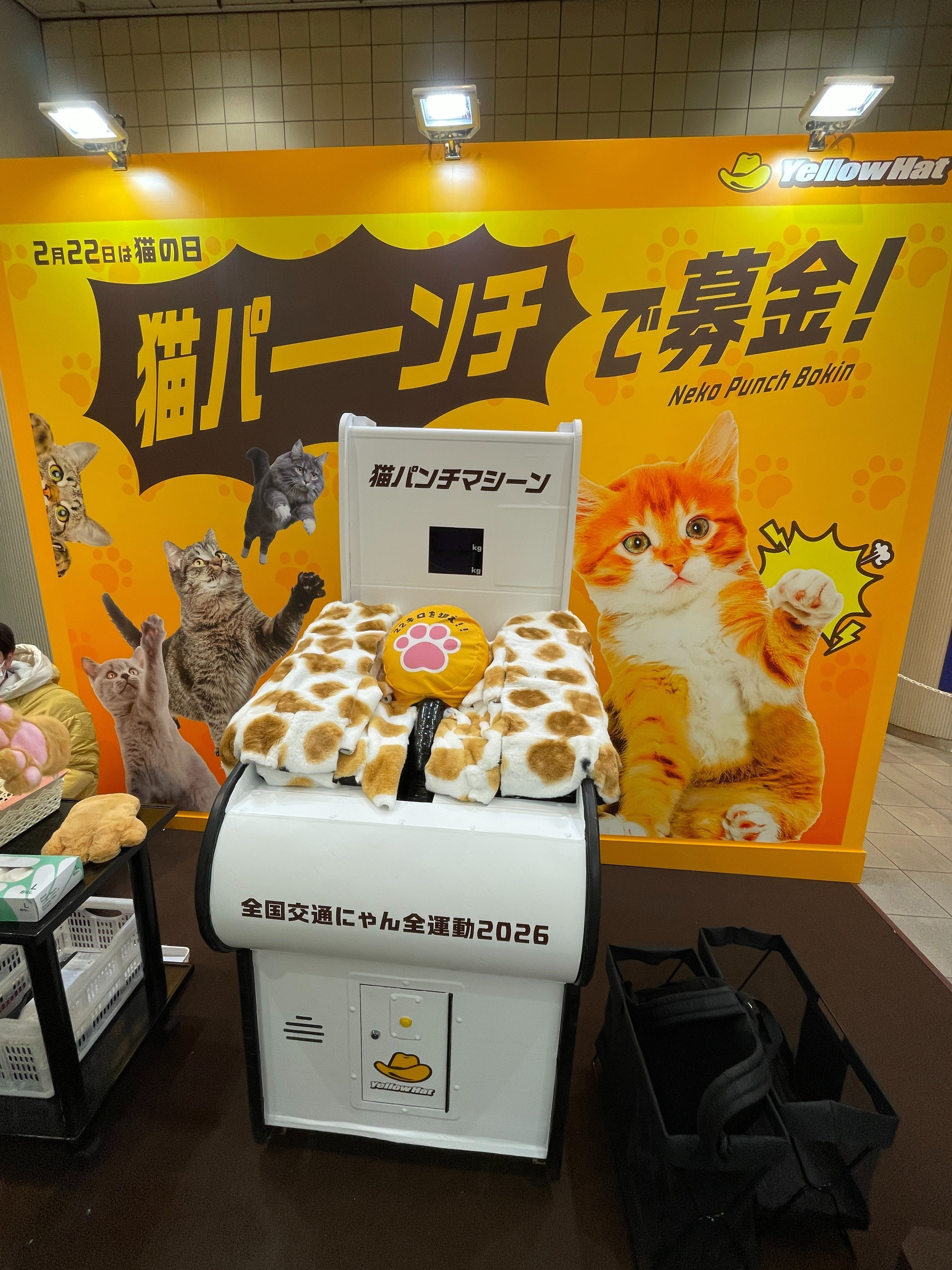 チャリティ・イベント・レポ No.246】猫パンチで募金＠渋谷マーク