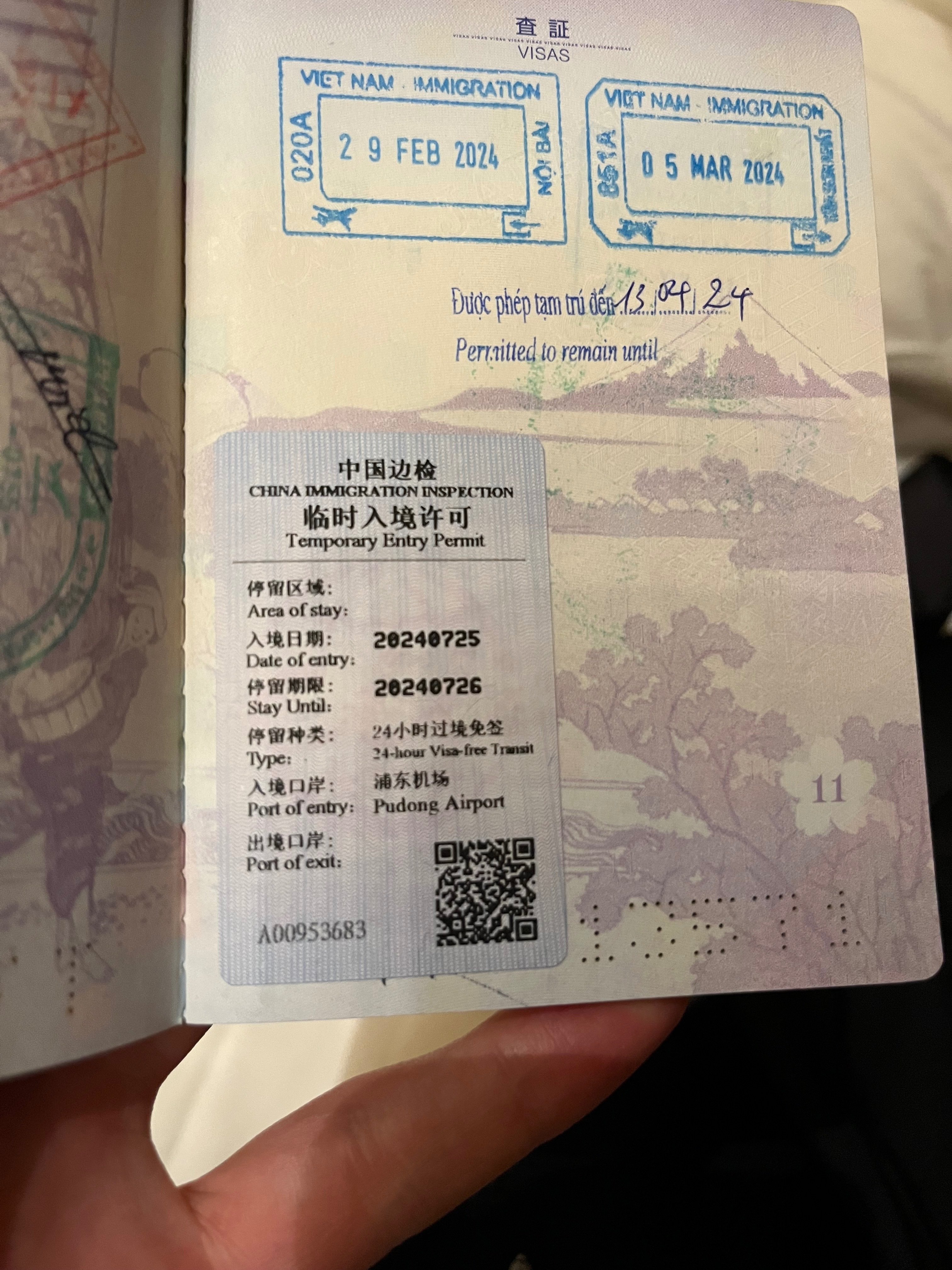 魔都で拾った旅の欠片 🇨🇳上海 (Part2)｜SENA OSHIMA