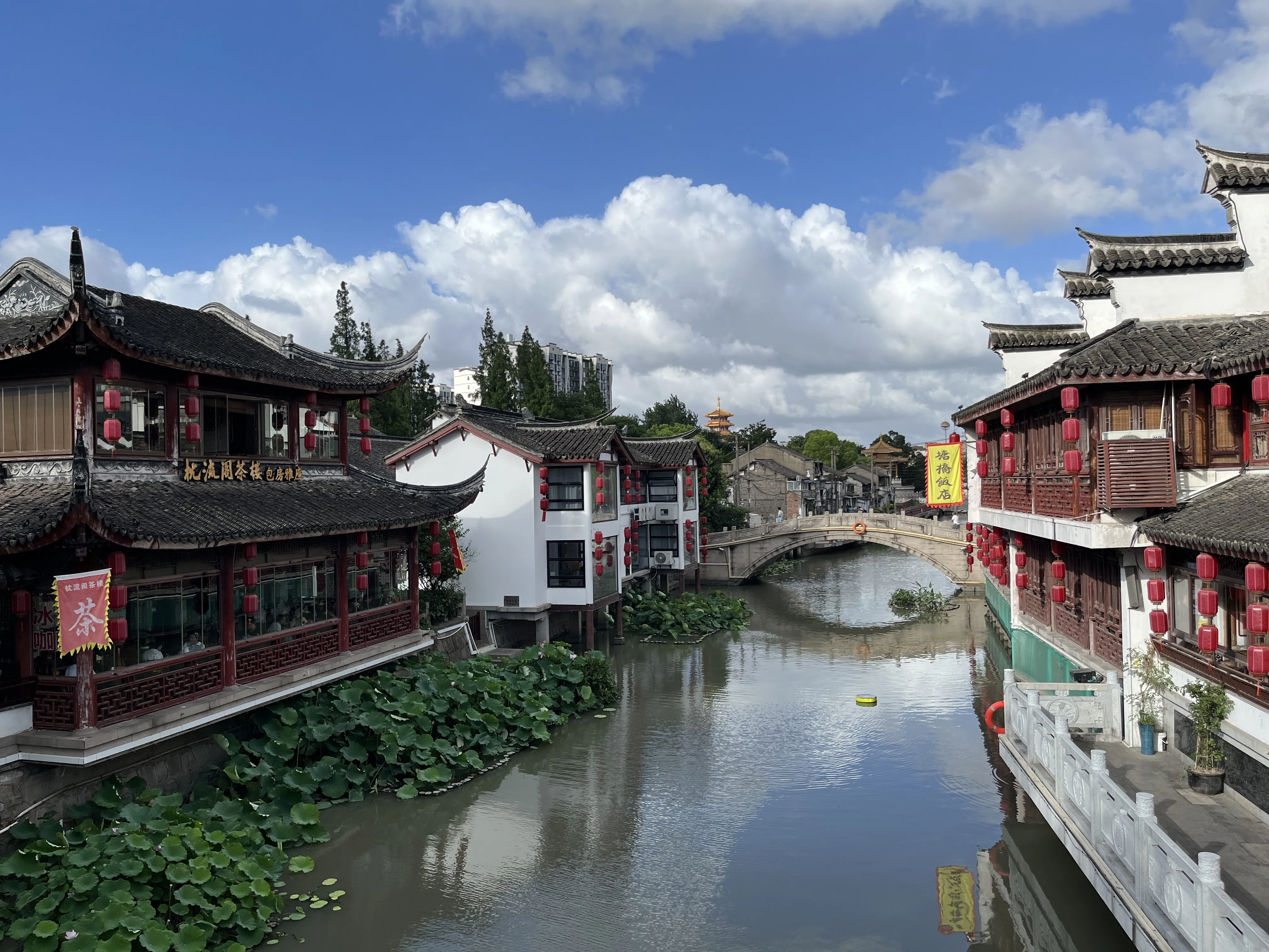 魔都で拾った旅の欠片 🇨🇳上海 (Part2)｜SENA OSHIMA