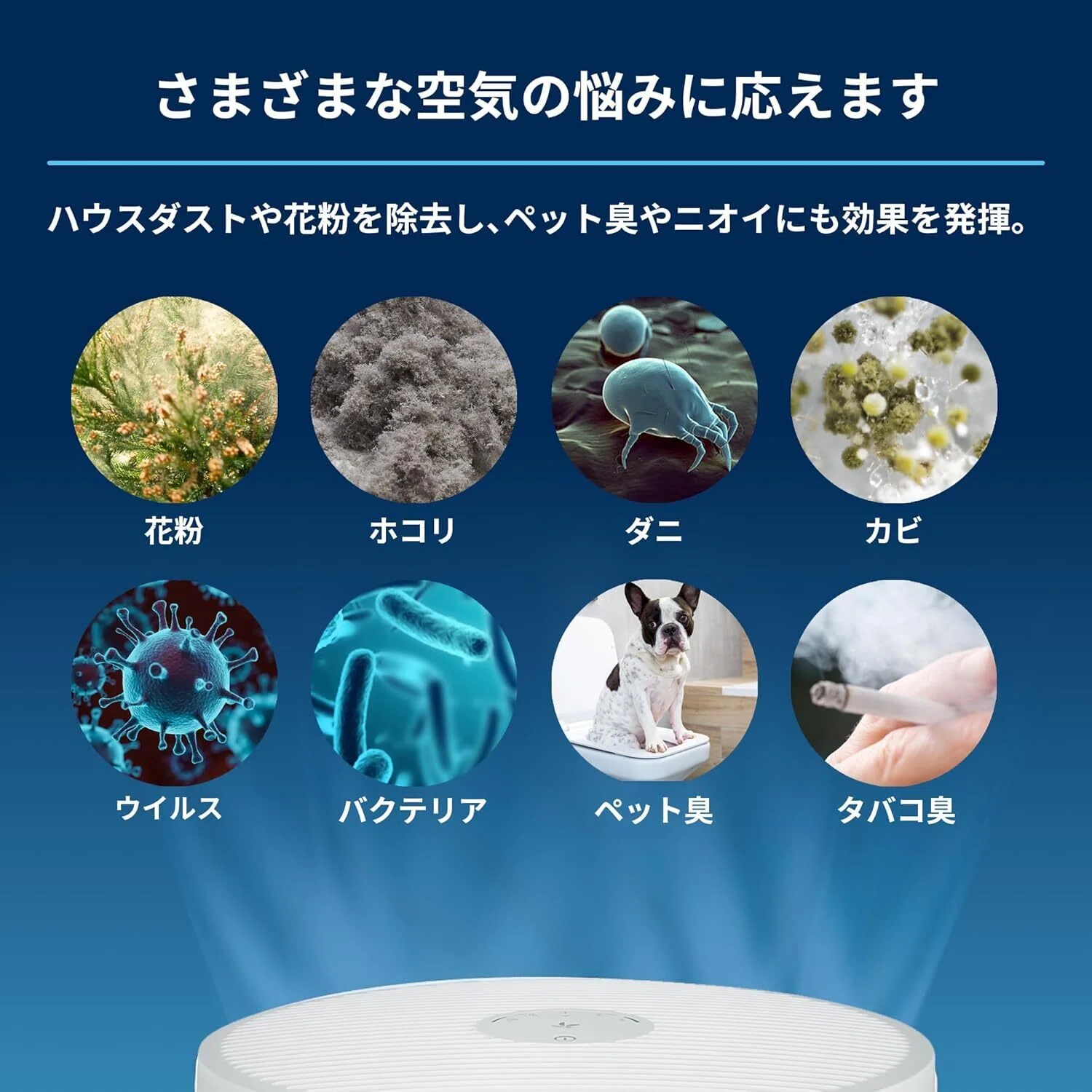 ★ブルーエア花粉 PM2.5 ハウスダスト ほこり タバコの煙 Wi-fi対応★ これ買えば失敗しない！花粉症対策おすすめ空気清浄機 「ブルーエア