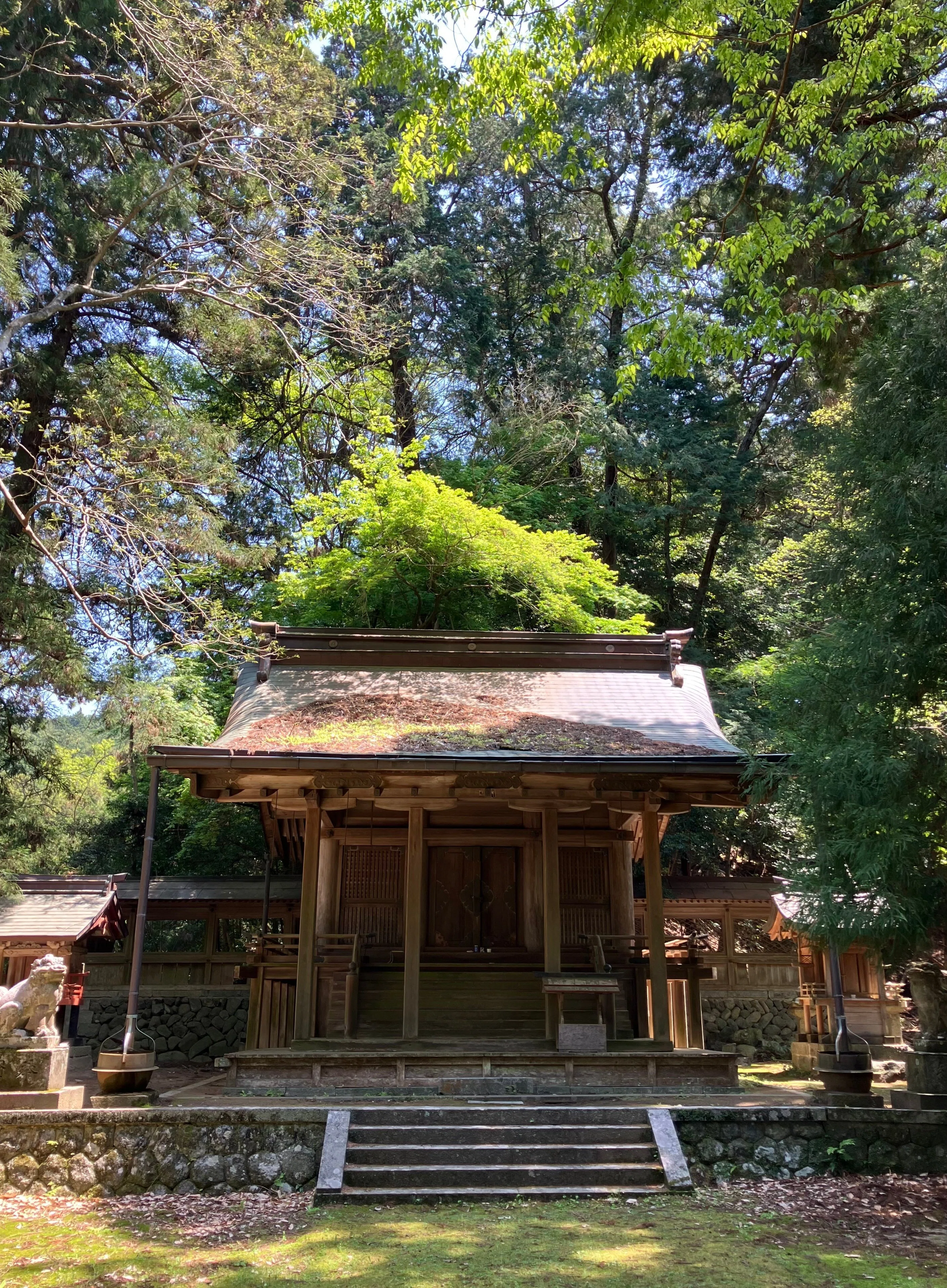 🔶私の好きな奈良：飛鳥川上坐宇須多岐比売命神社 皇極天皇による正史