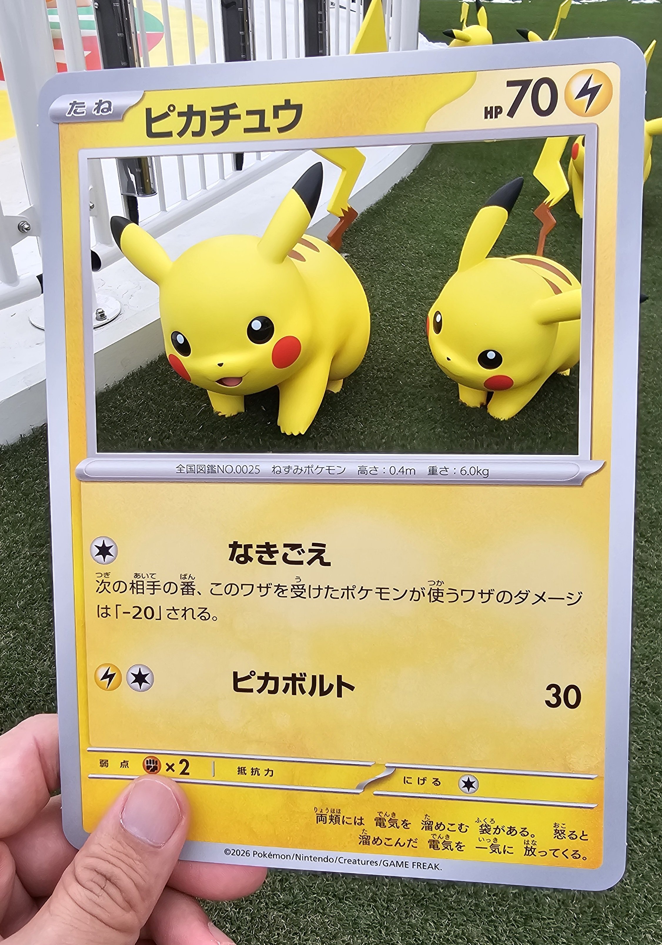 東京旅行 2日目(ポケパークカントー編⑤)｜標的