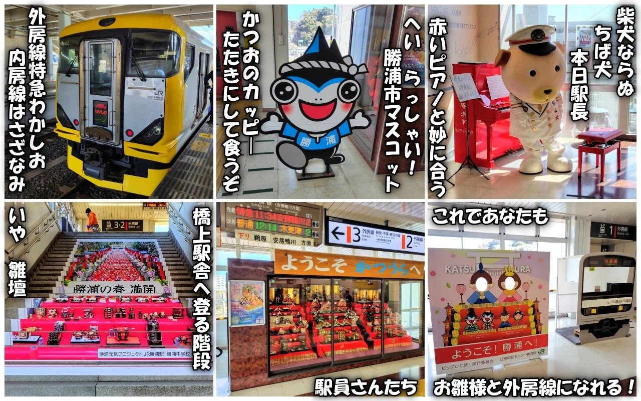 市民を超えた雛人口！神社役所総動員！漁師町のﾋﾞｯｸﾘ祭り@千葉県勝浦市