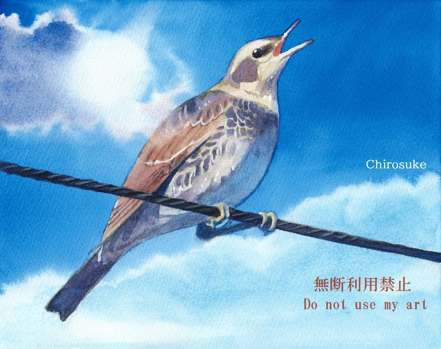 水彩画 鳥鳥鳥猫｜ちろ