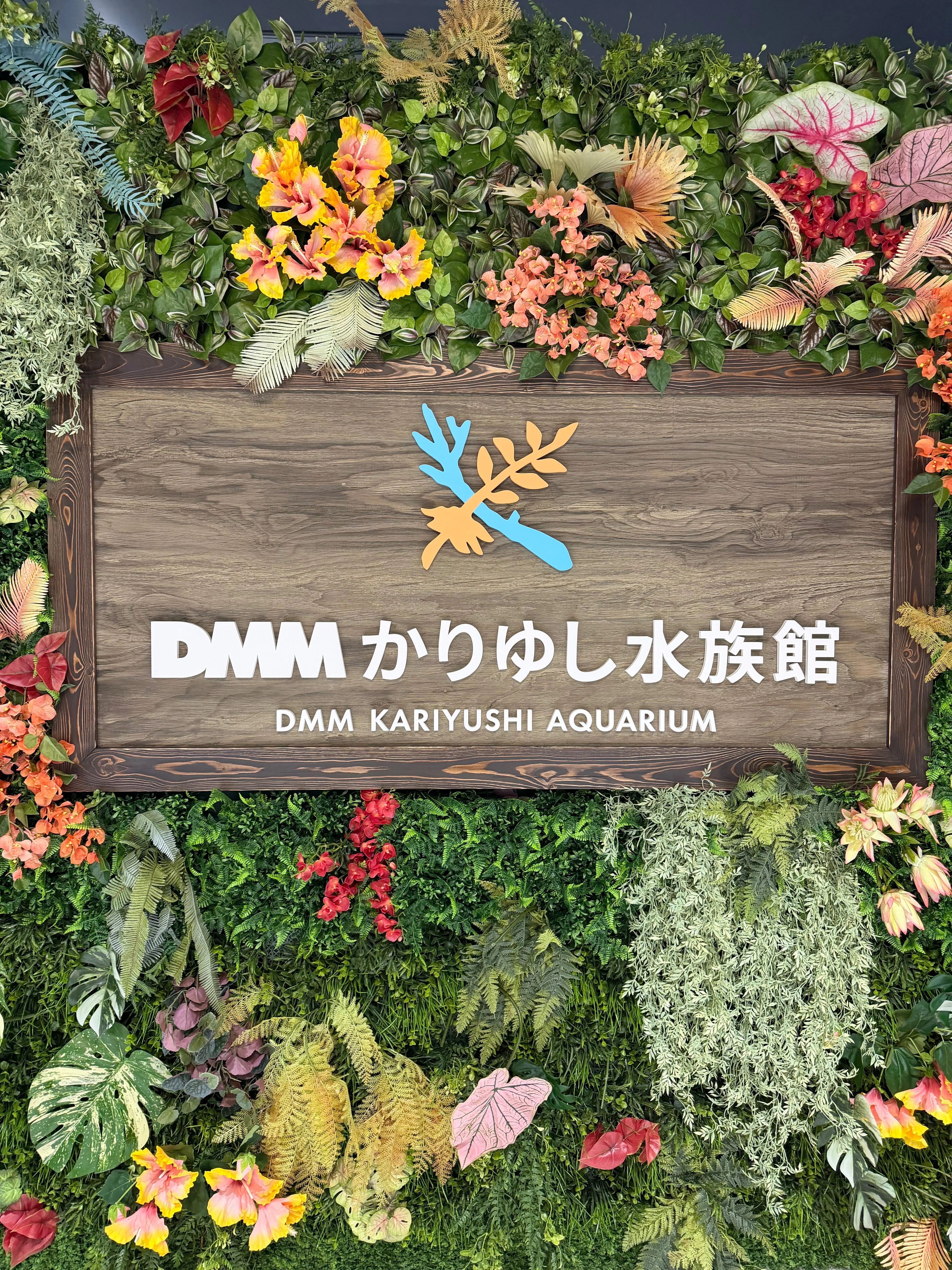 DMMかりゆし水族館】リュウグウノツカイ｜ドーナツ