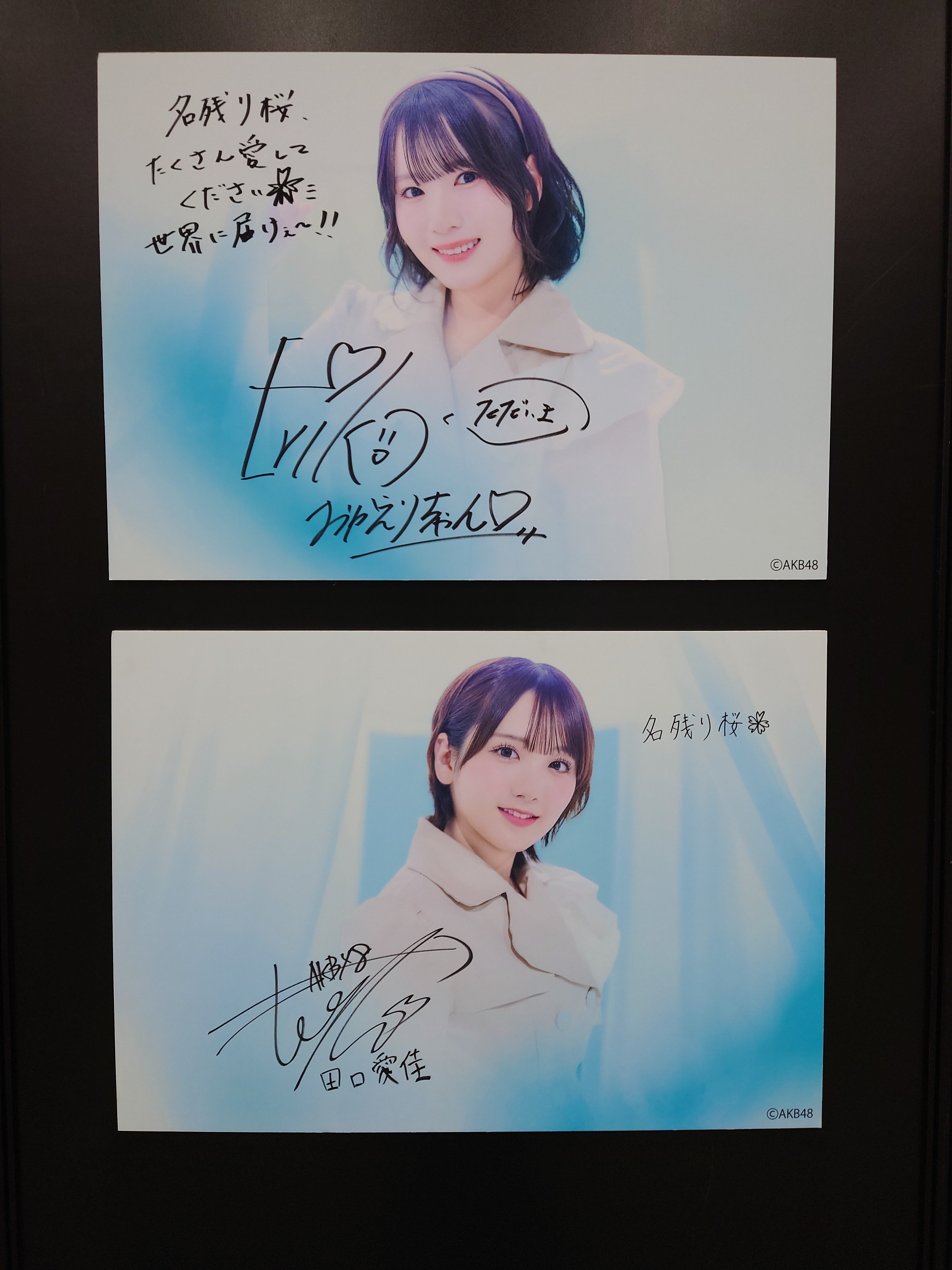 2026.2.21.(土) AKB48_67thシングル「名残り桜」個別握手会 レポ｜kbu