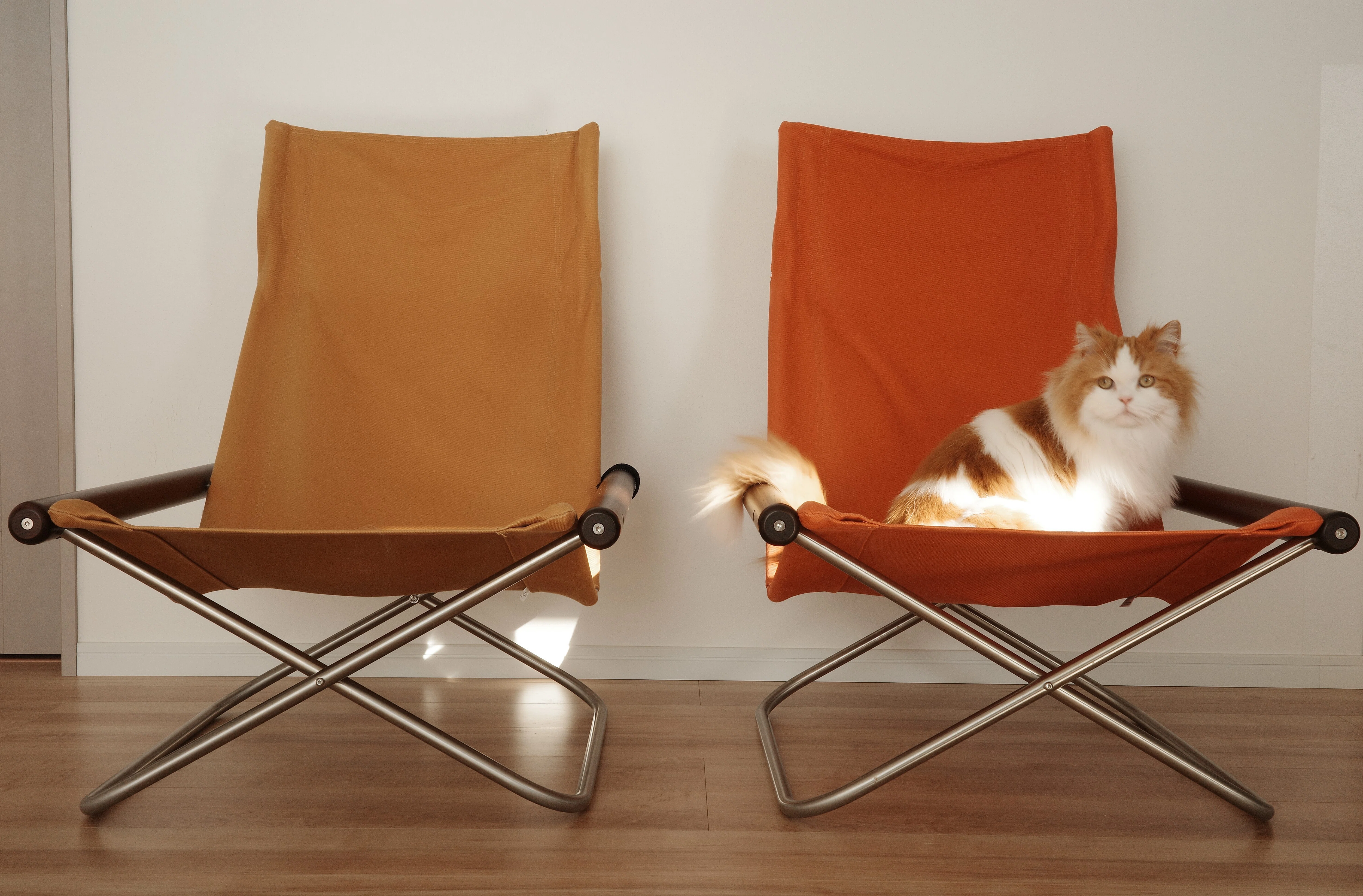 738124　チェア 01 猫との暮らしにベストなチェア Nychair X｜ナカムラ
